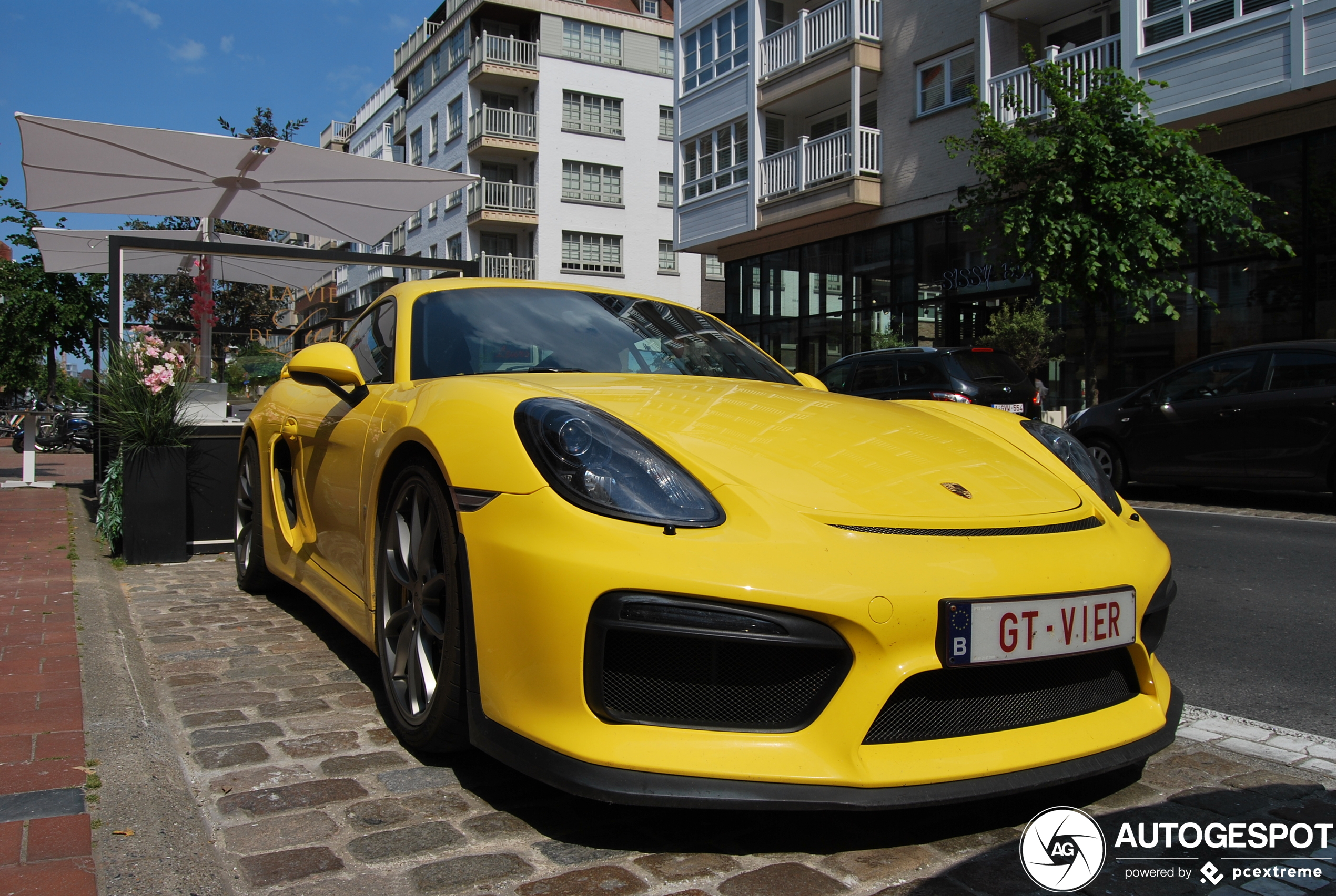 Porsche 981 Cayman GT4