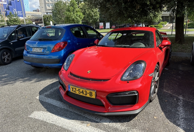 Porsche 981 Cayman GT4