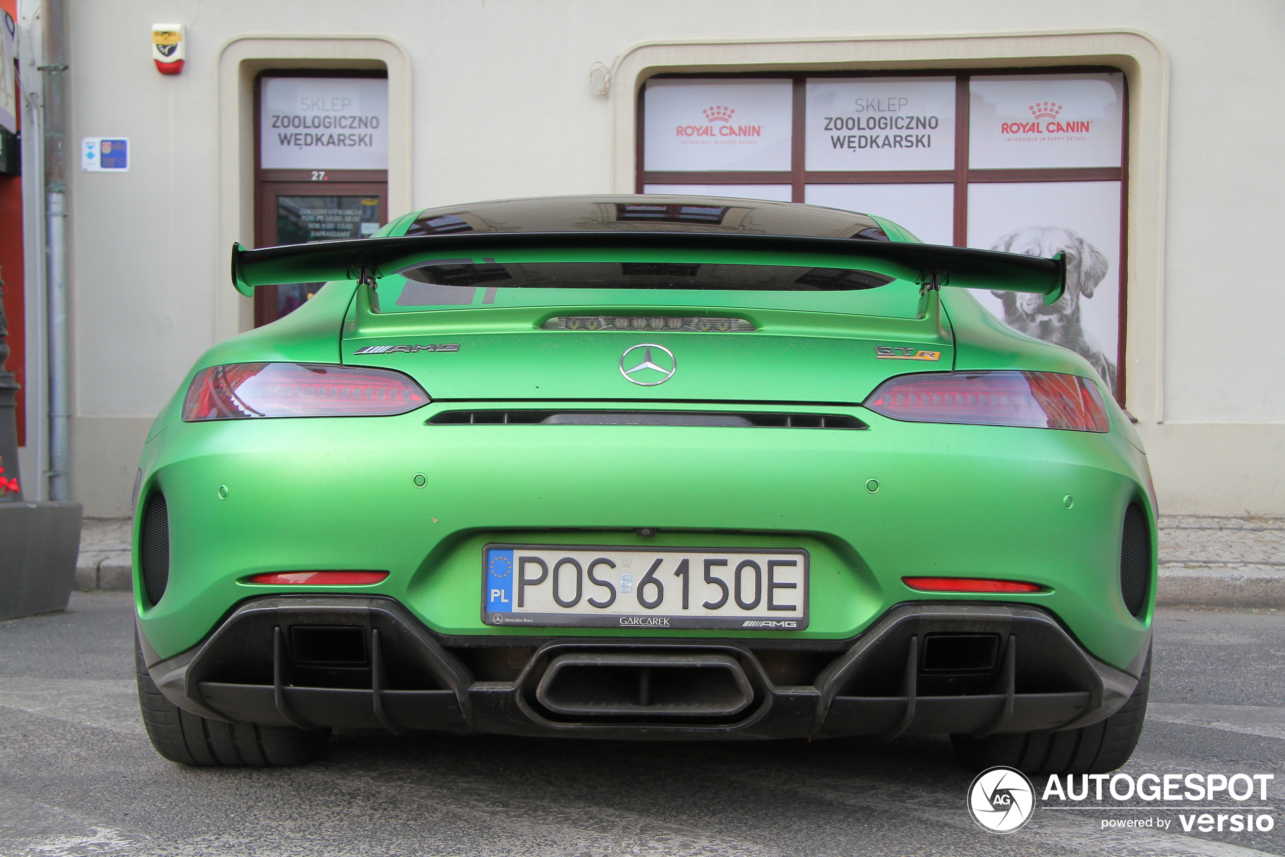 Mercedes-AMG GT R C190