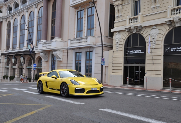 Porsche 981 Cayman GT4