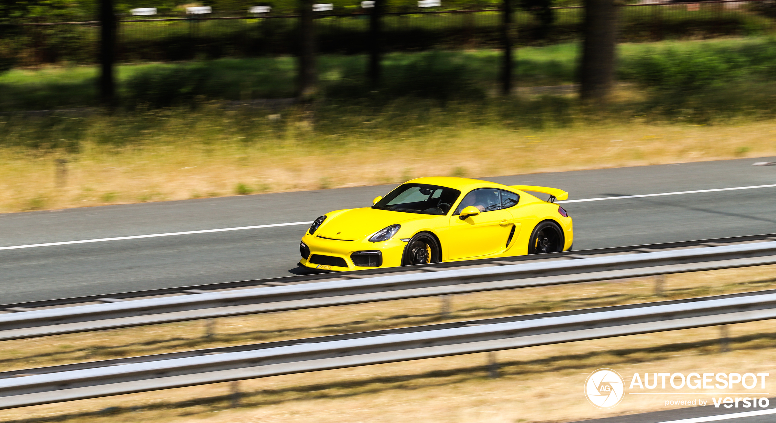 Porsche 981 Cayman GT4