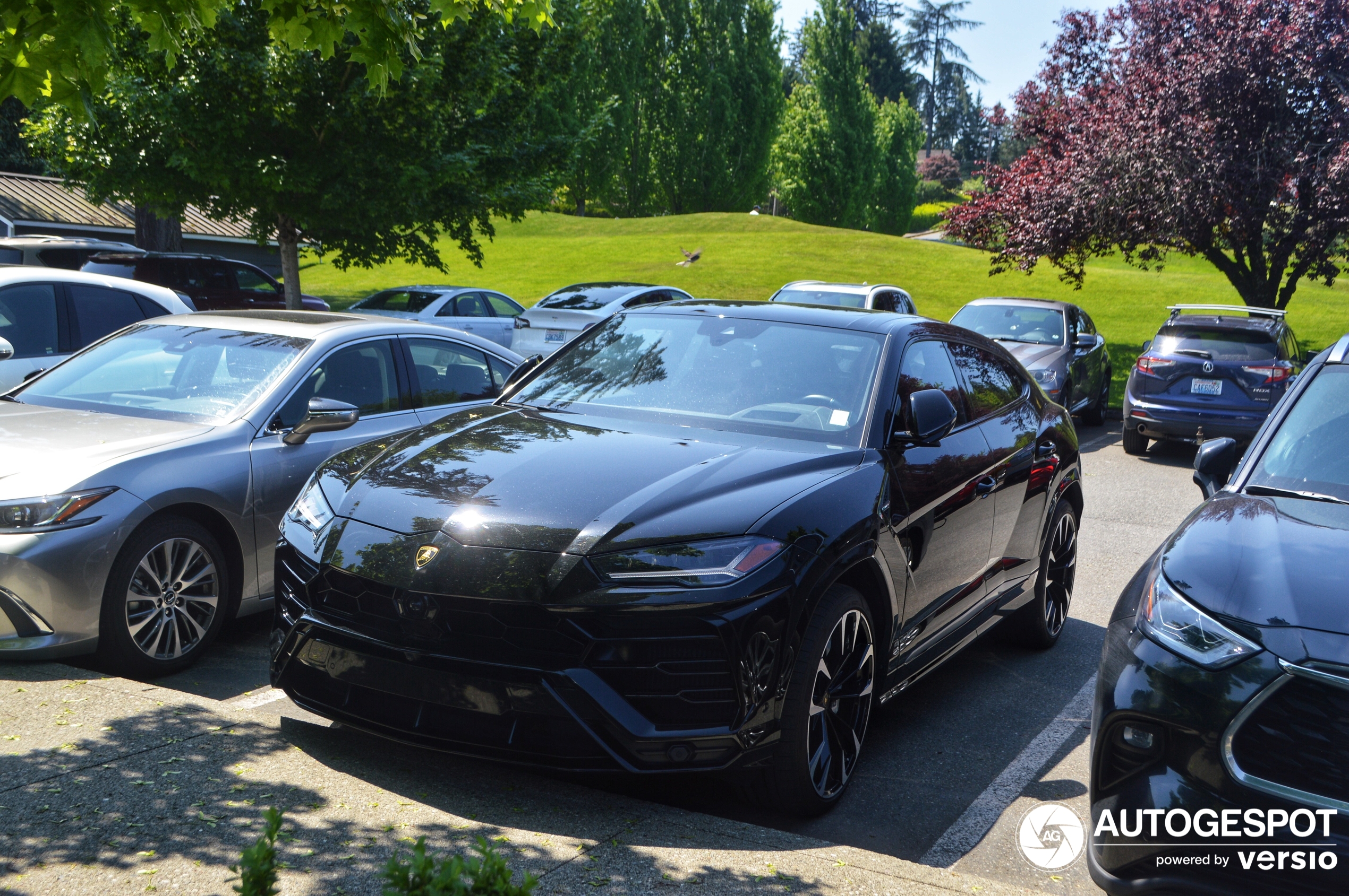 Lamborghini Urus