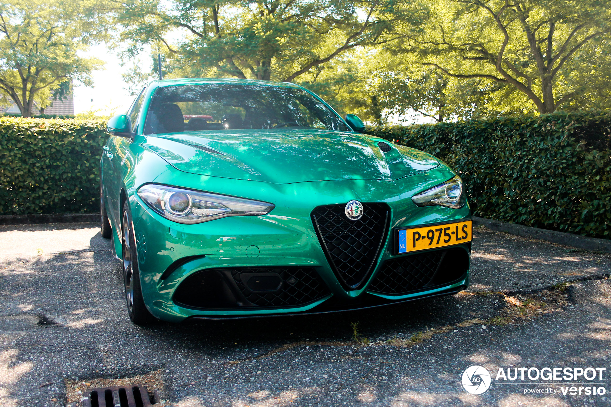 Alfa Romeo Giulia Quadrifoglio 2020