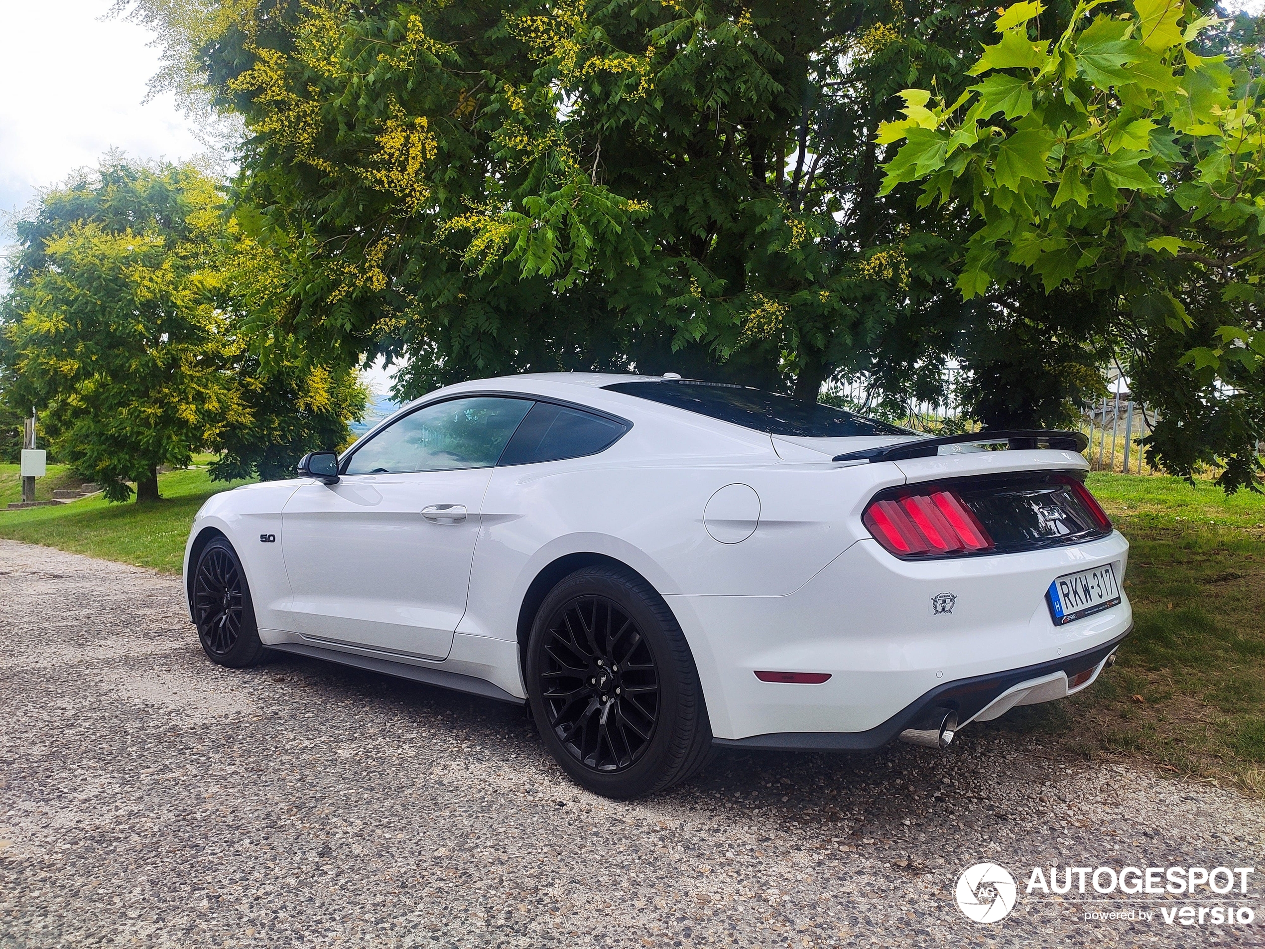 Ford Mustang GT 2015