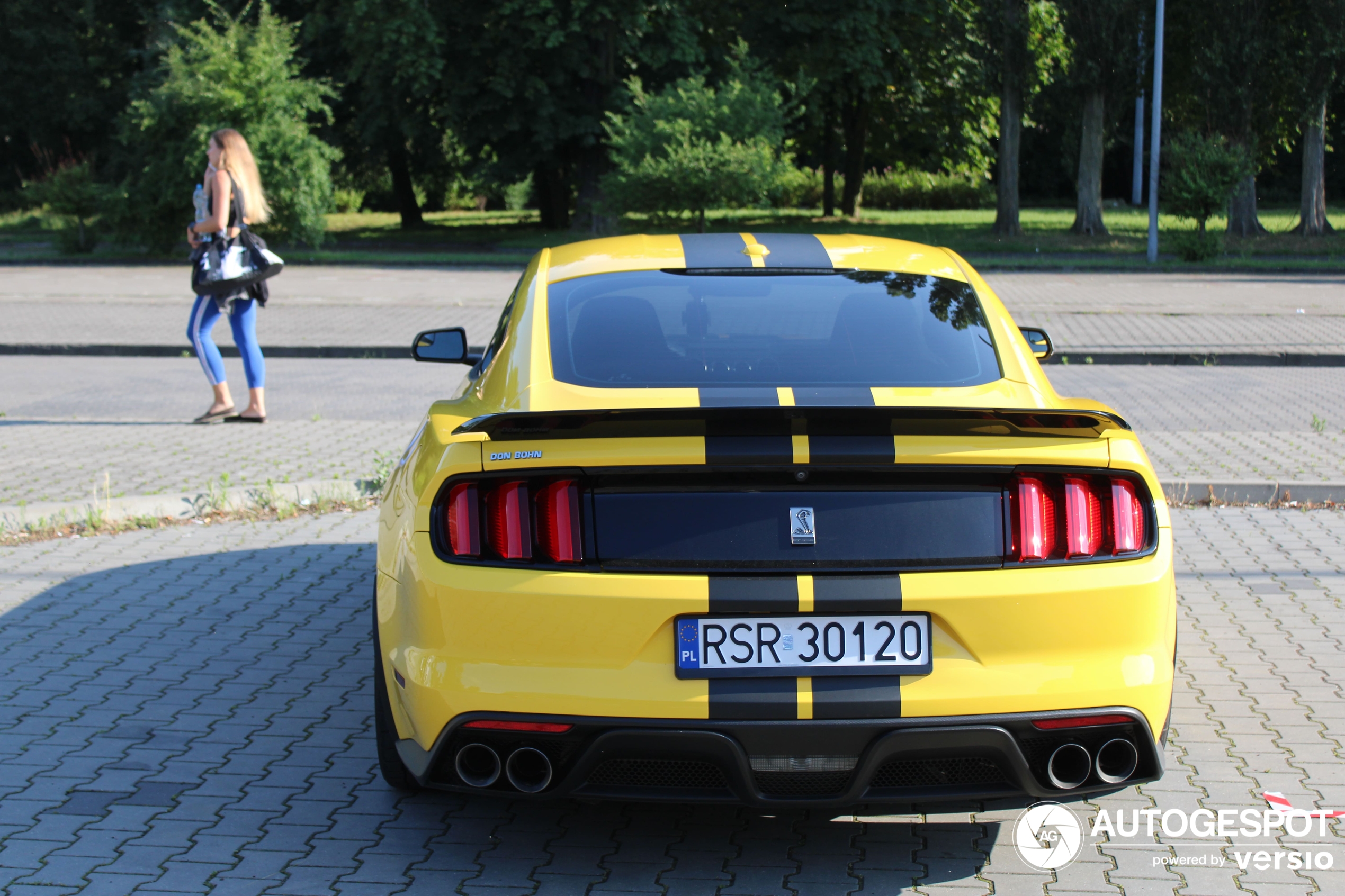 Ford Mustang Shelby GT350 2015