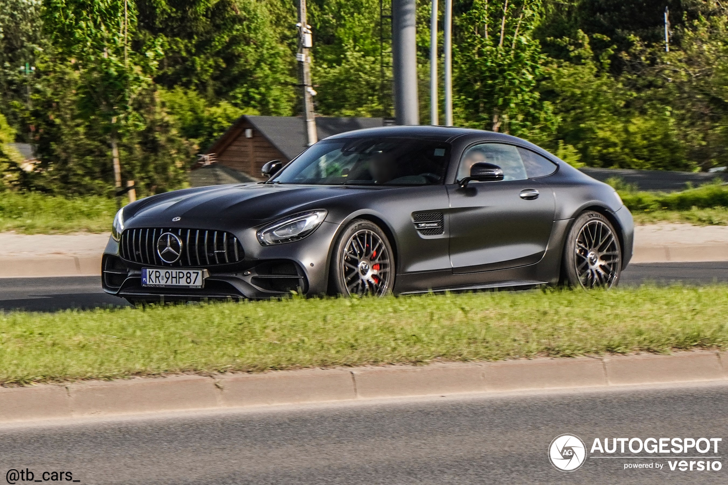 Mercedes-AMG GT C Edition 50 C190 2017