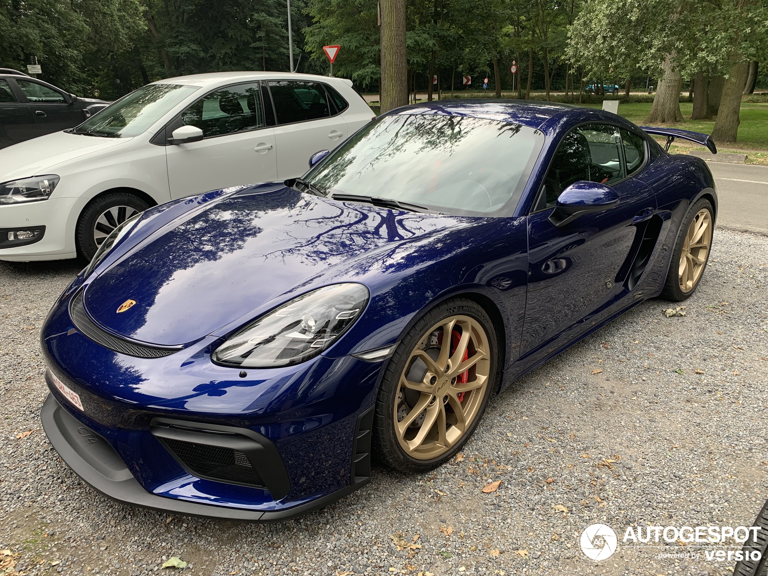 Porsche 718 Cayman GT4