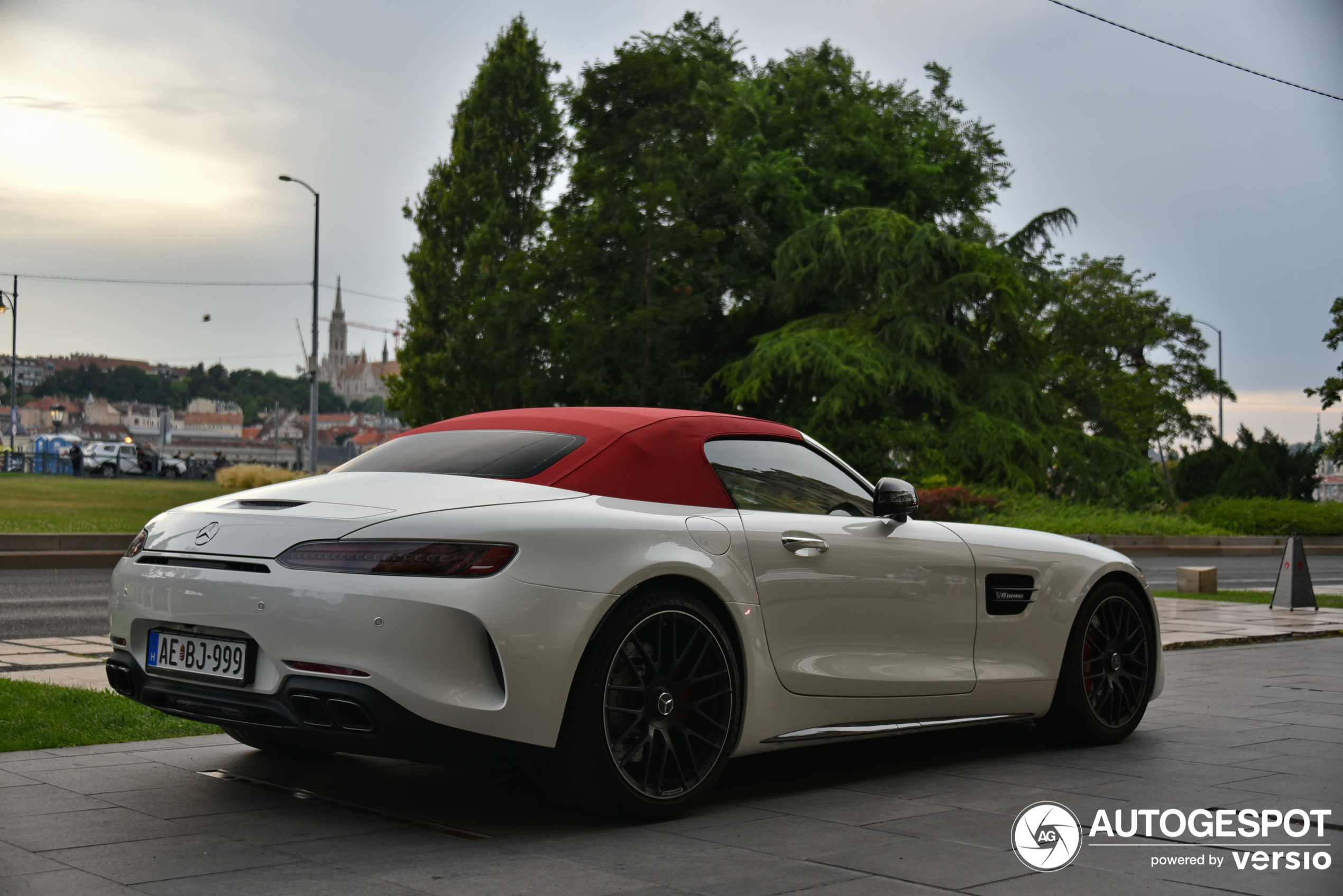 Mercedes-AMG GT C Roadster R190 2019