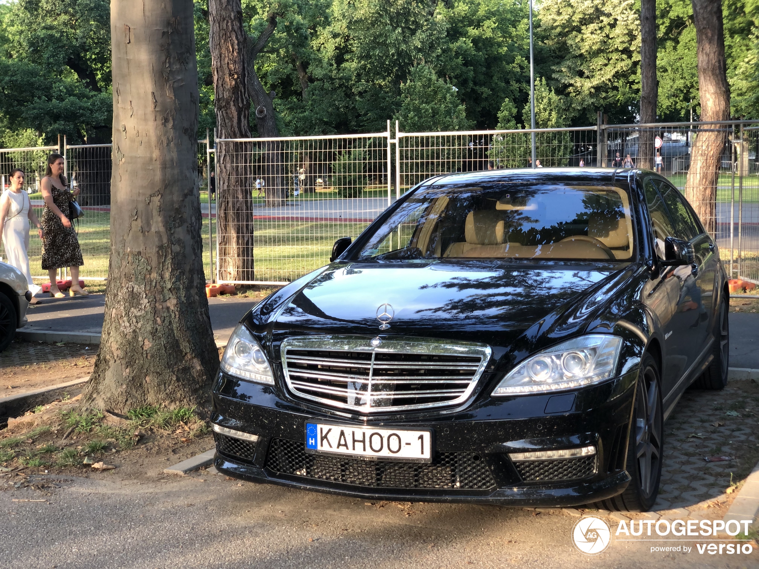 Mercedes-Benz S 65 AMG V221 2010