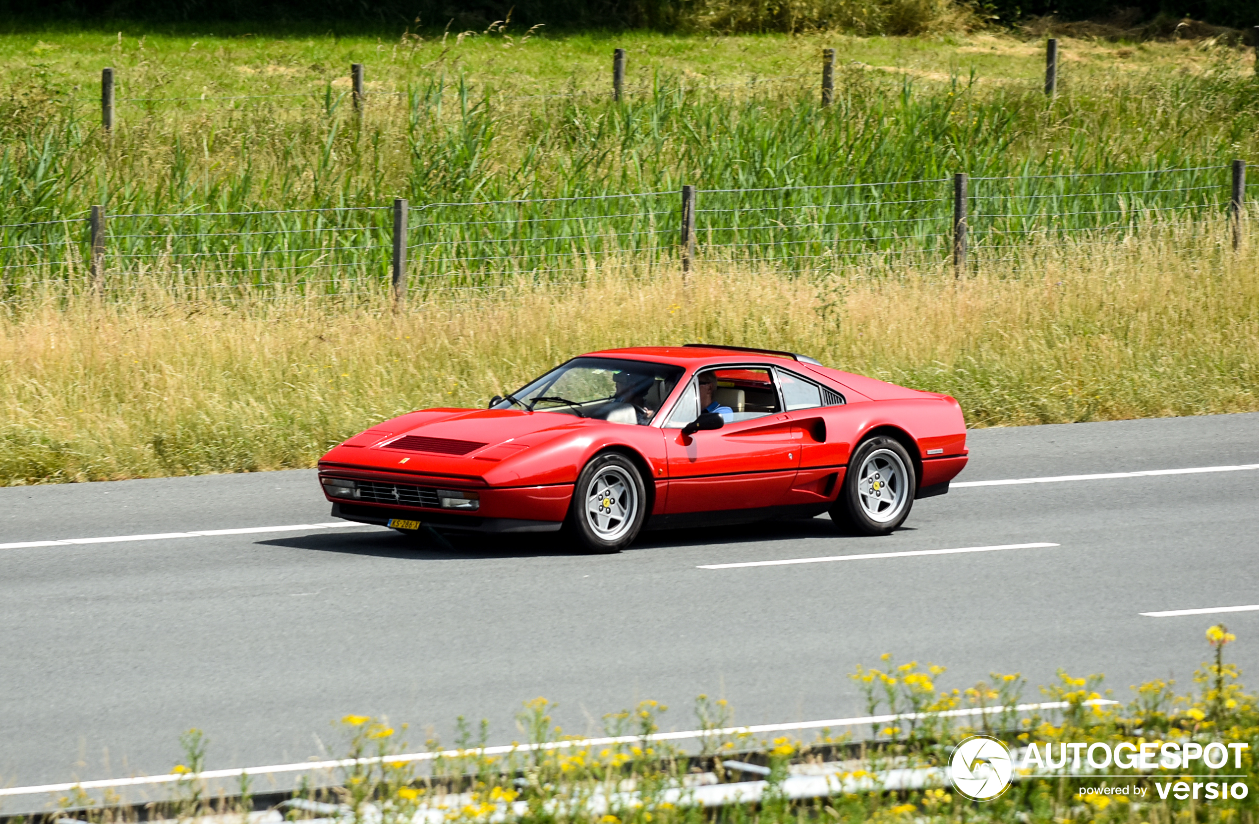 Ferrari GTB Turbo