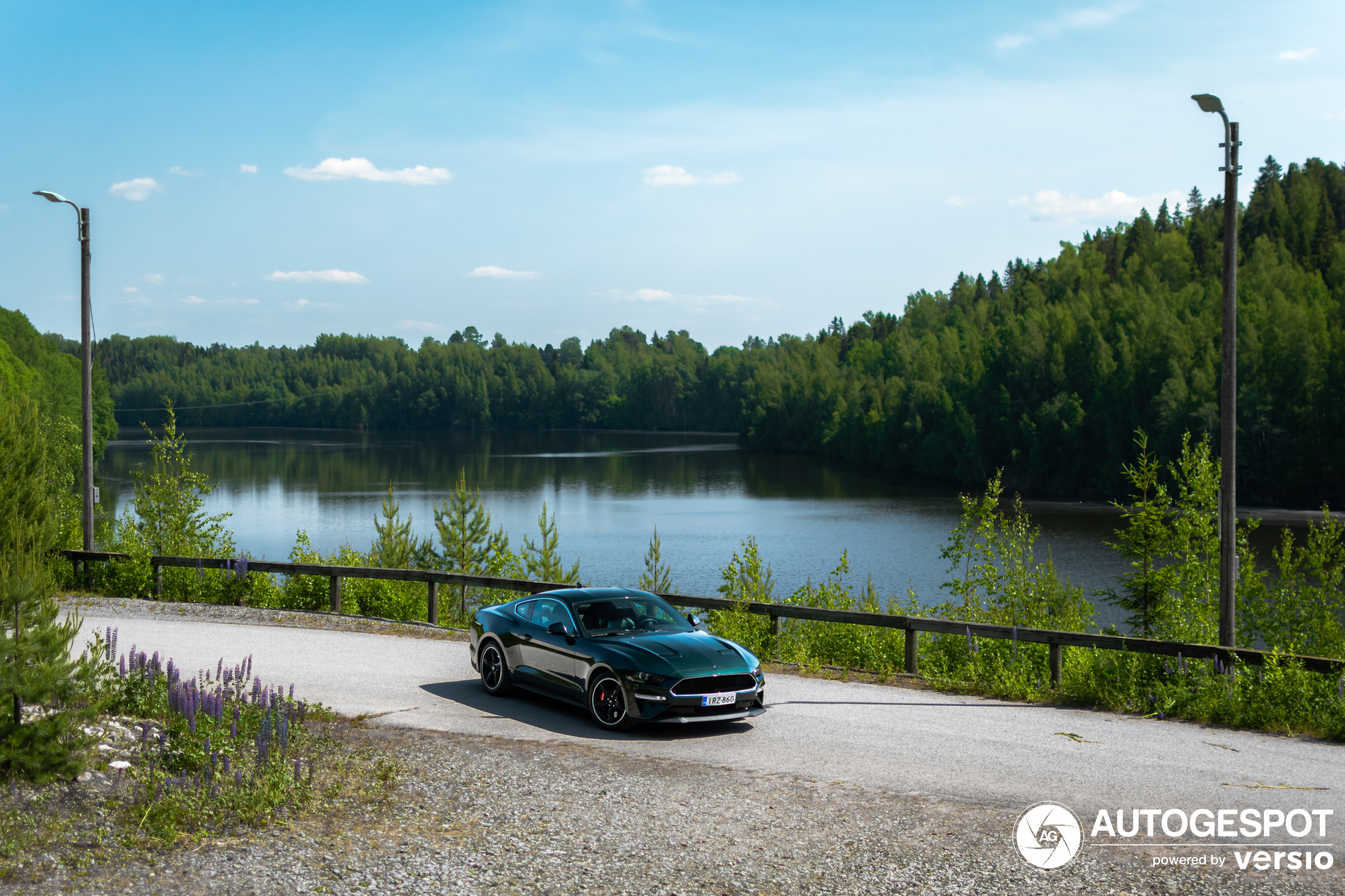 Ford Mustang Bullitt 2019