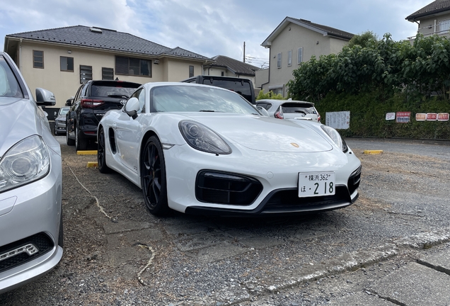 Porsche 981 Cayman GTS