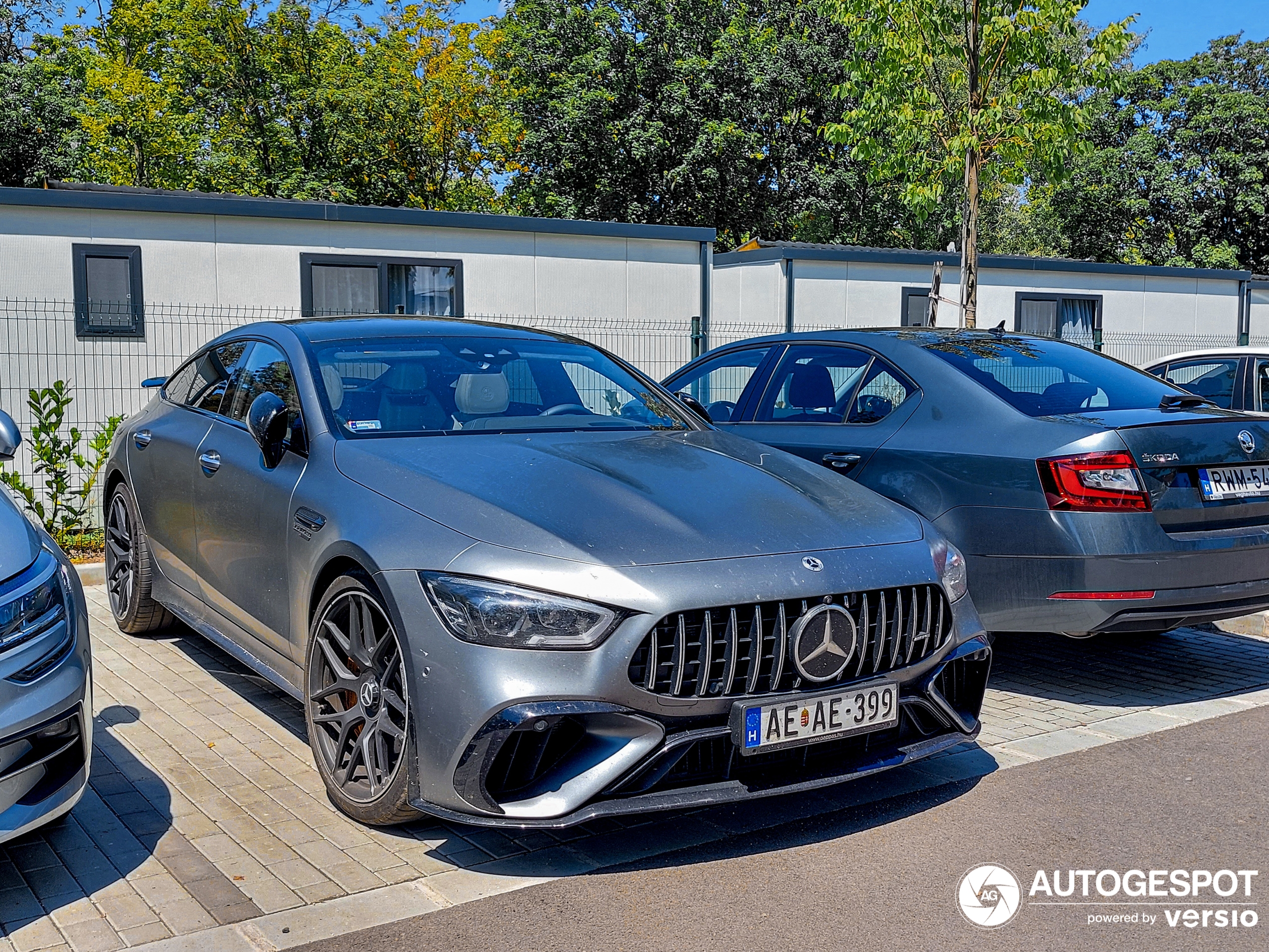 Mercedes-AMG GT 63 S E Performance X290