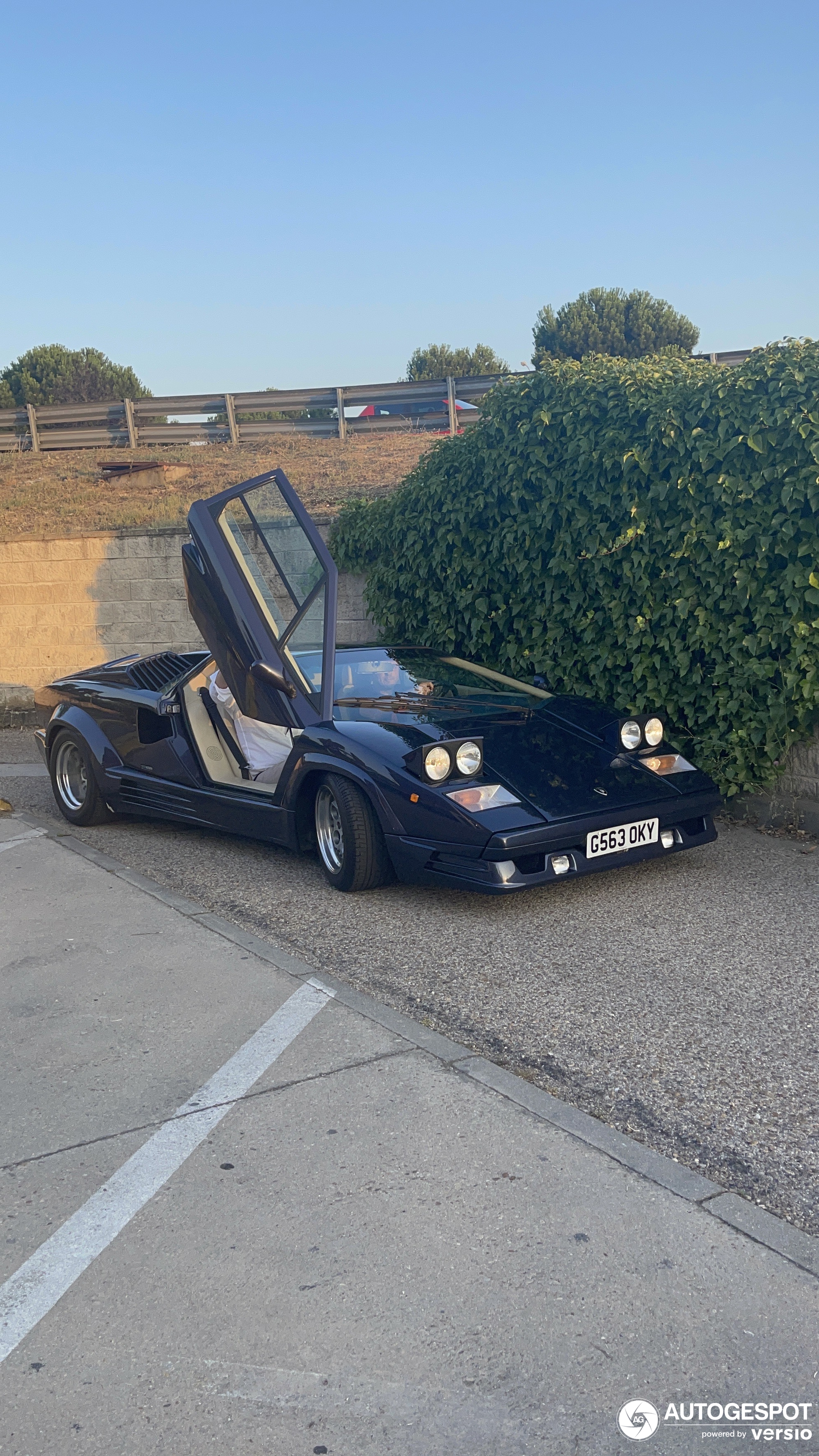 Lamborghini Countach 25th Anniversary