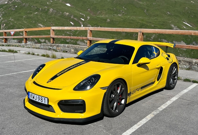 Porsche 981 Cayman GT4