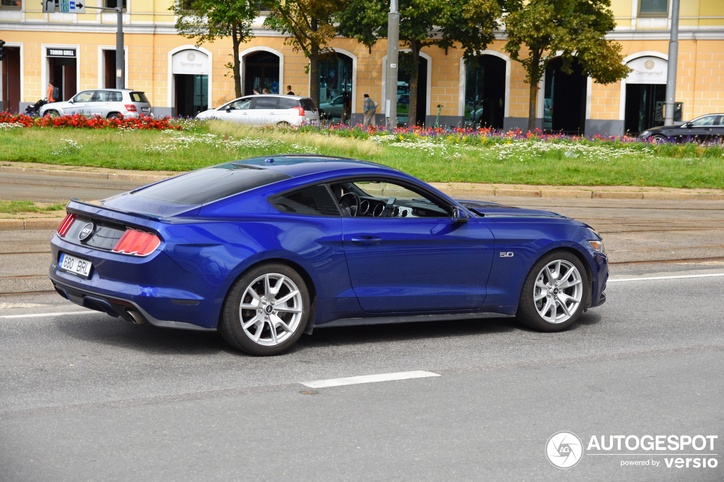 Ford Mustang GT 50th Anniversary Edition