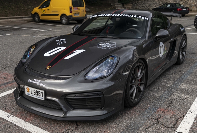 Porsche 981 Cayman GT4