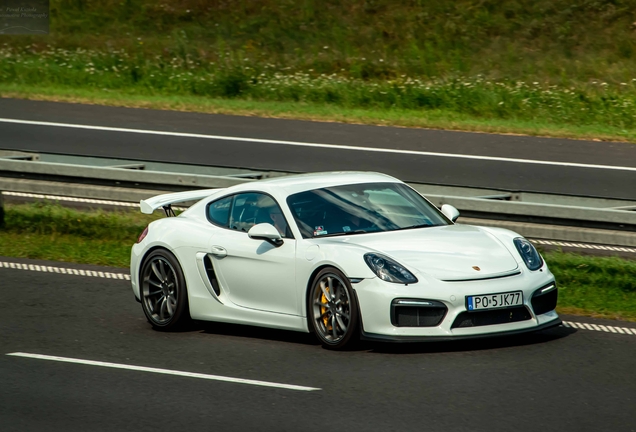 Porsche 981 Cayman GT4