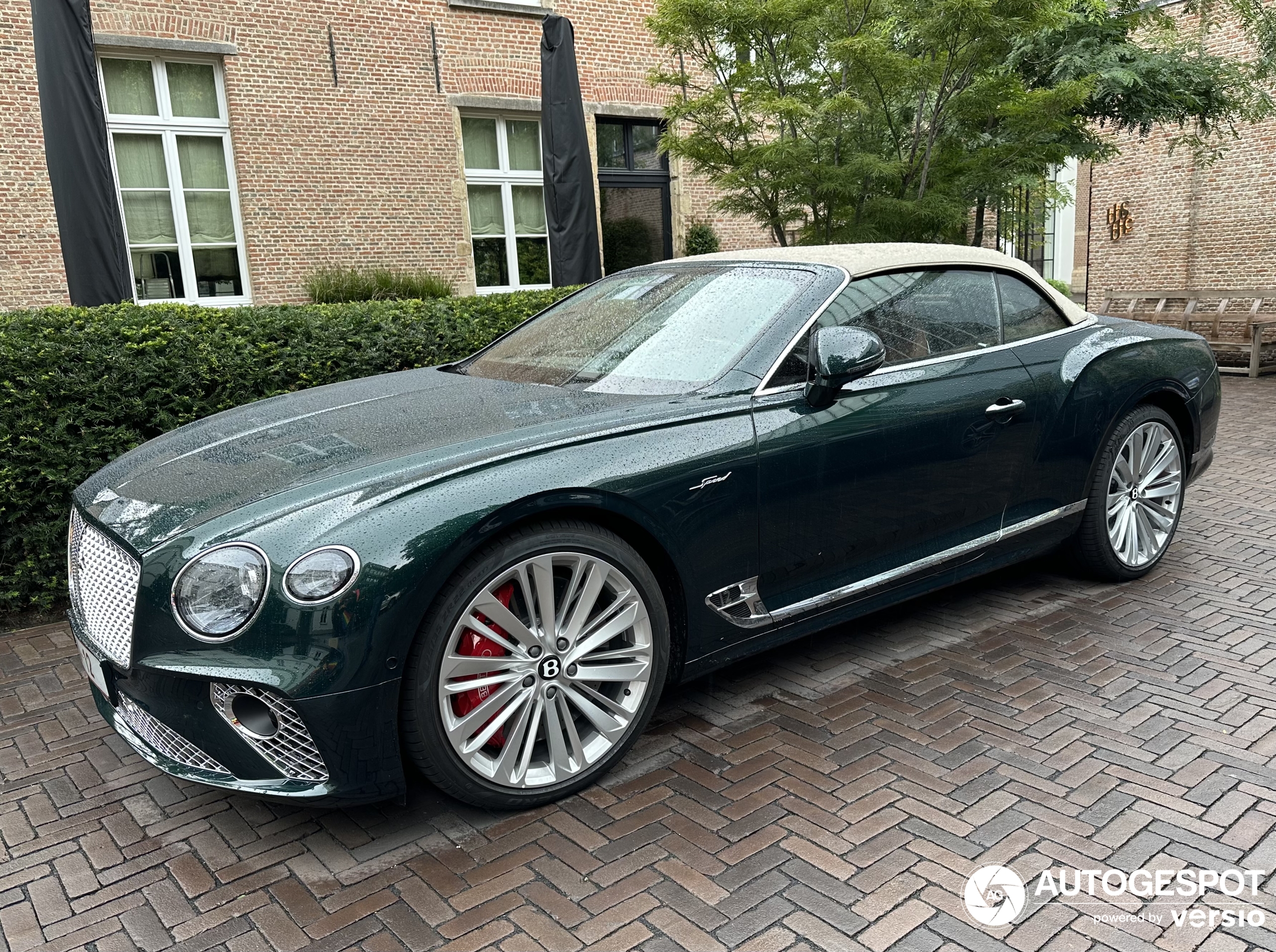 Bentley Continental GTC Speed 2021