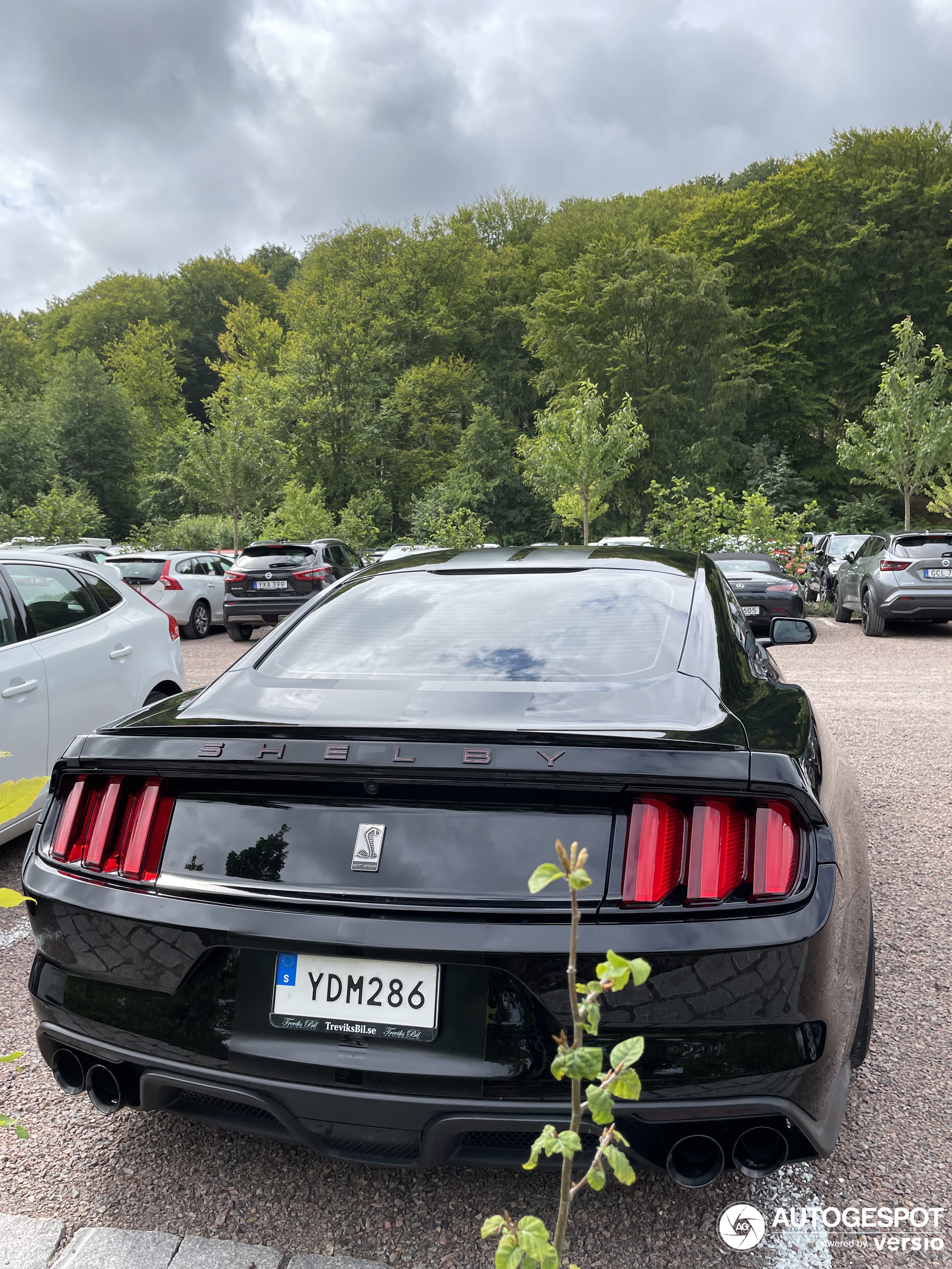 Ford Mustang Shelby GT350 2015