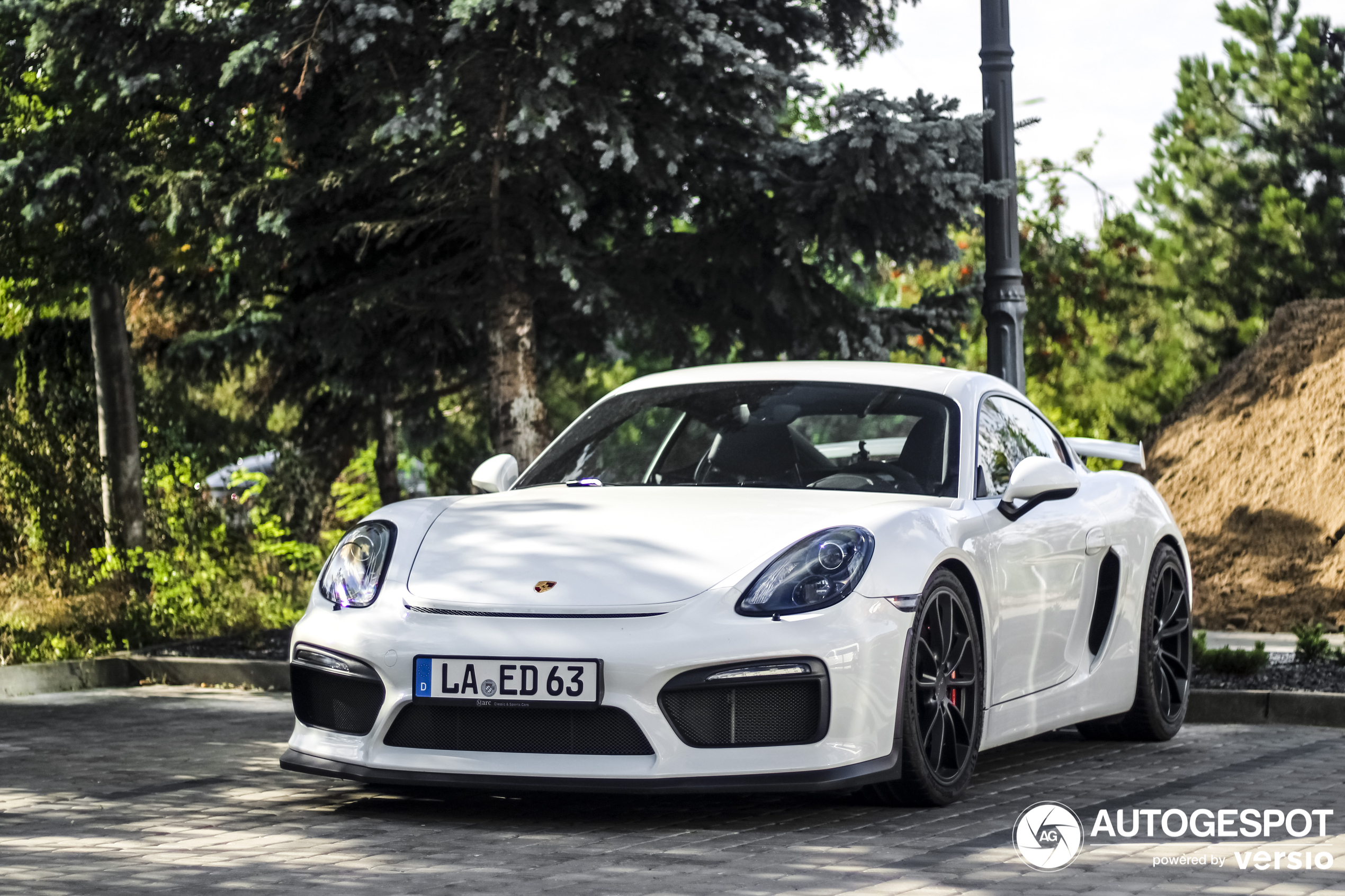 Porsche 981 Cayman GT4