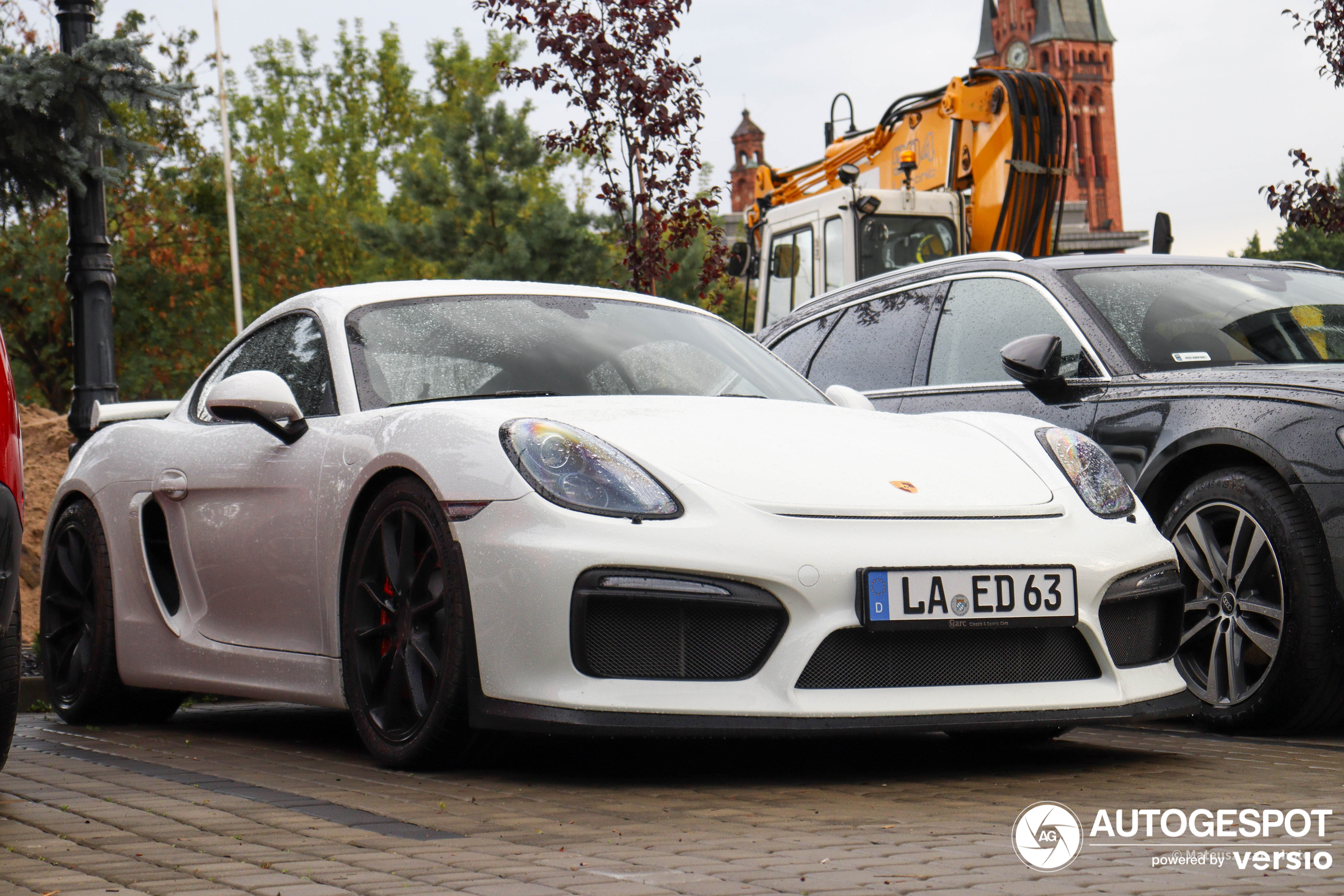 Porsche 981 Cayman GT4