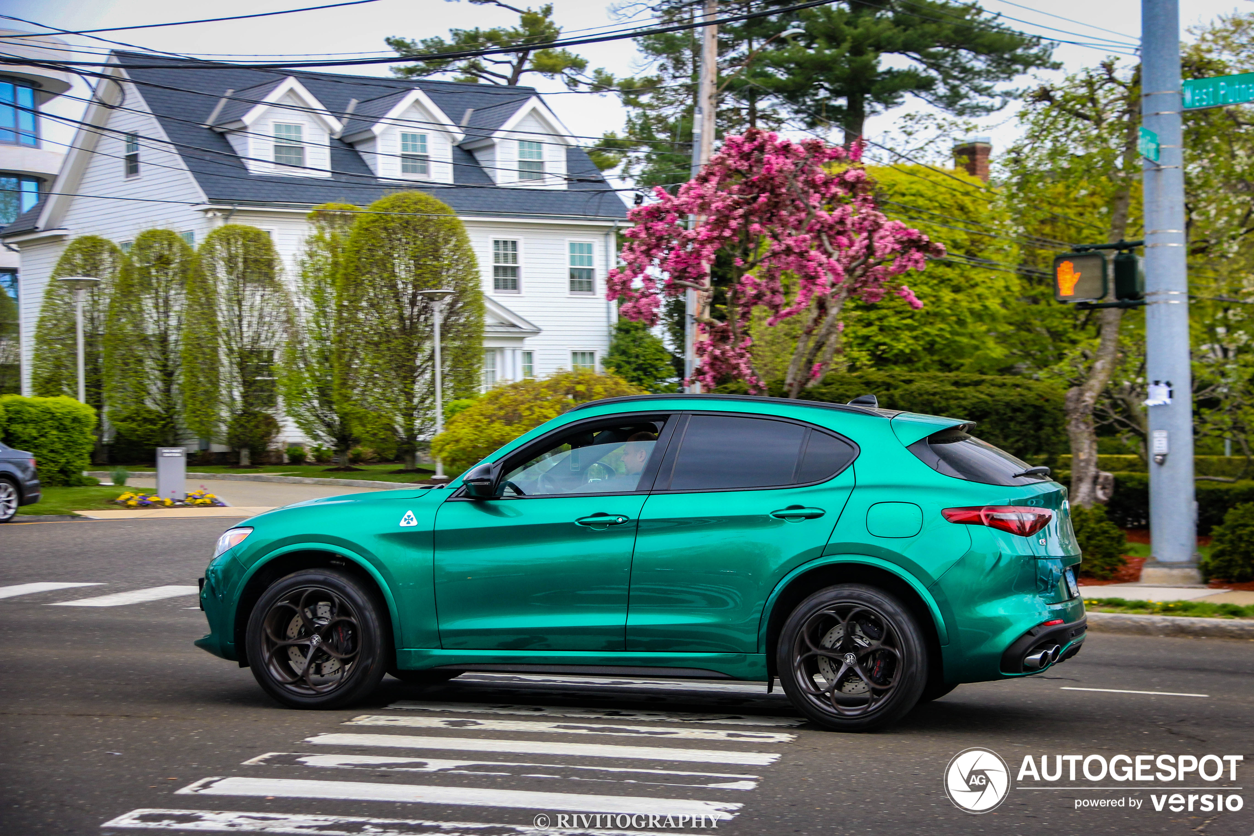 Alfa Romeo Stelvio Quadrifoglio