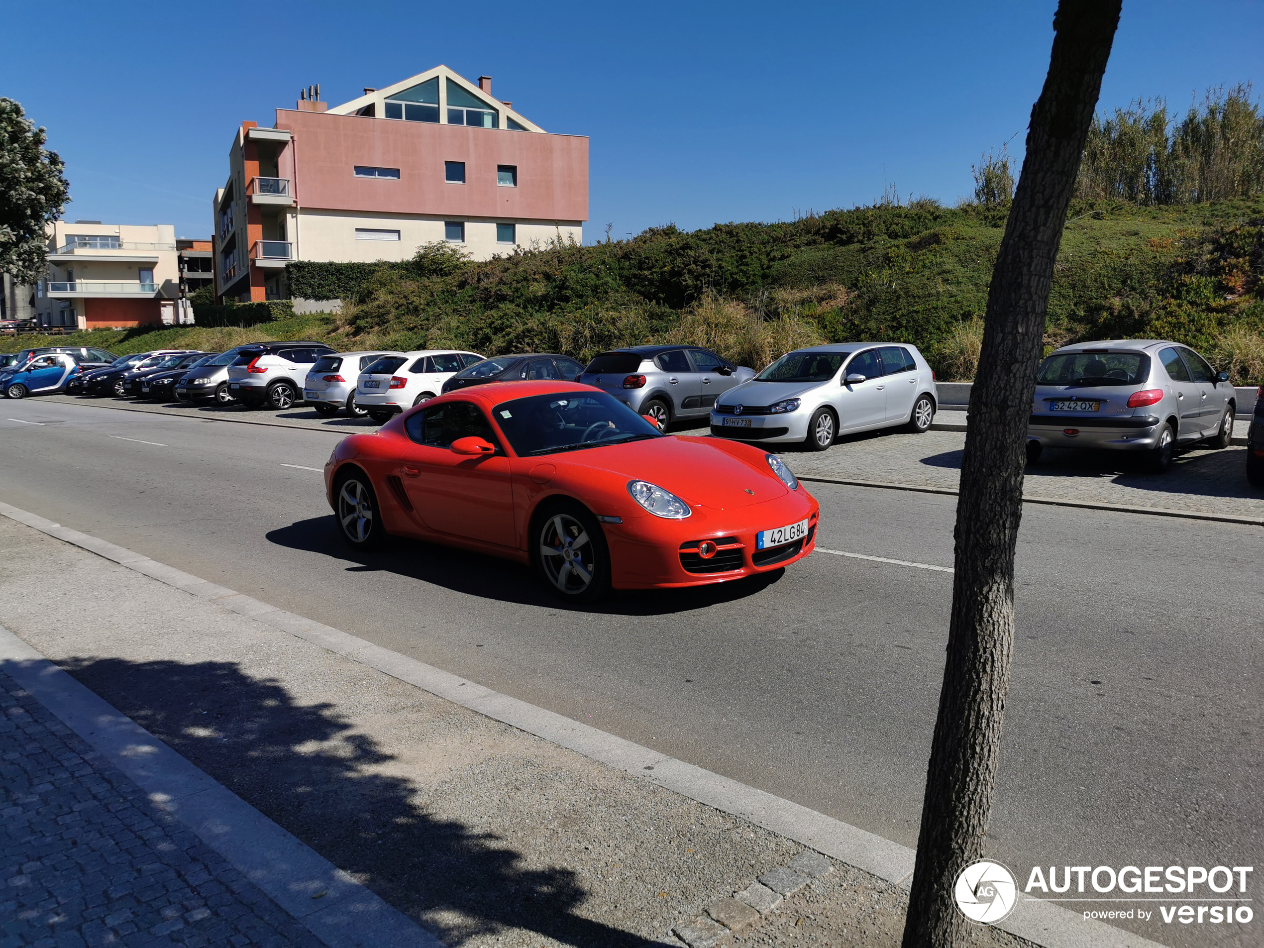 Porsche 987 Cayman S