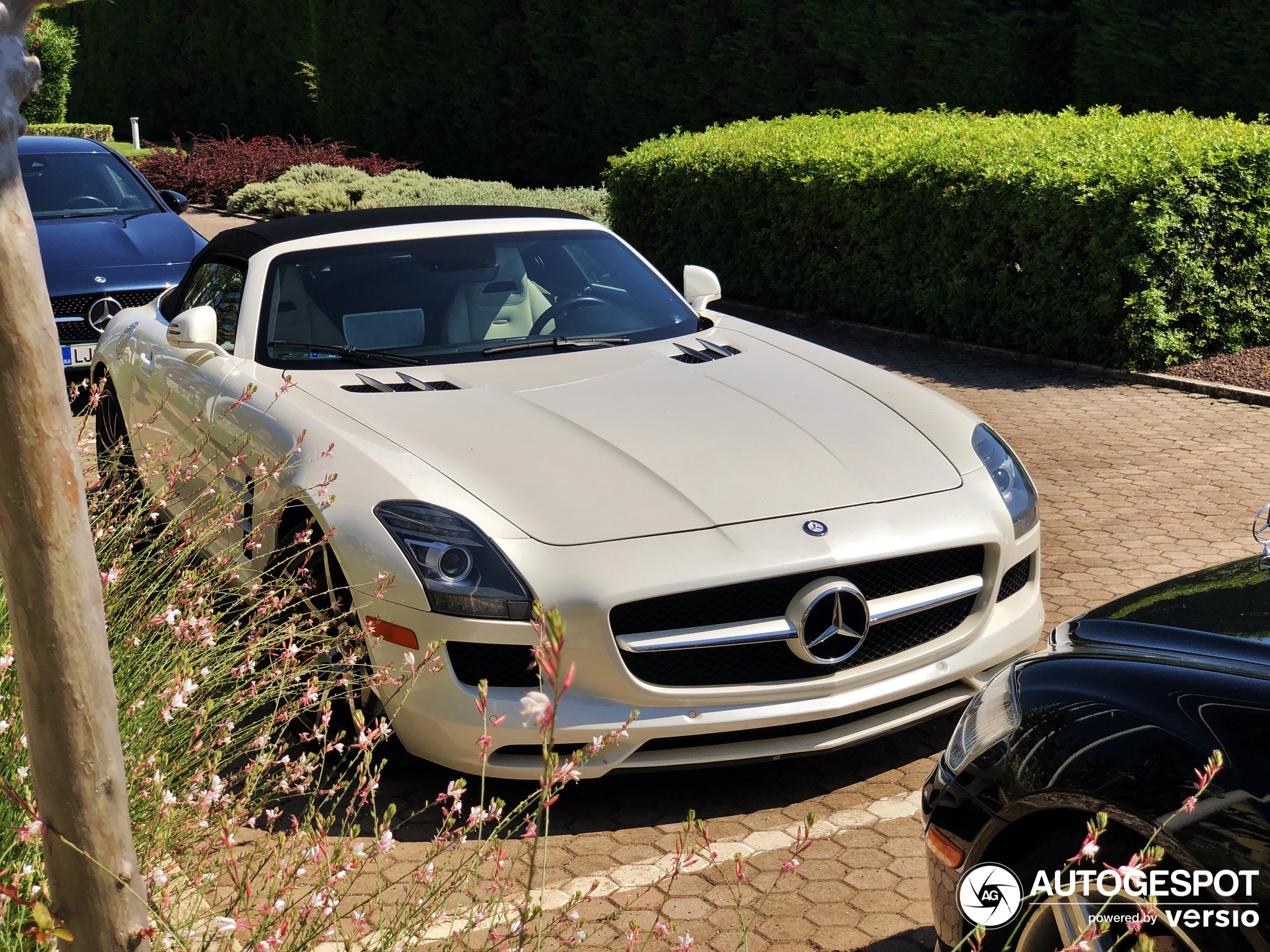 Mercedes-Benz SLS AMG Roadster