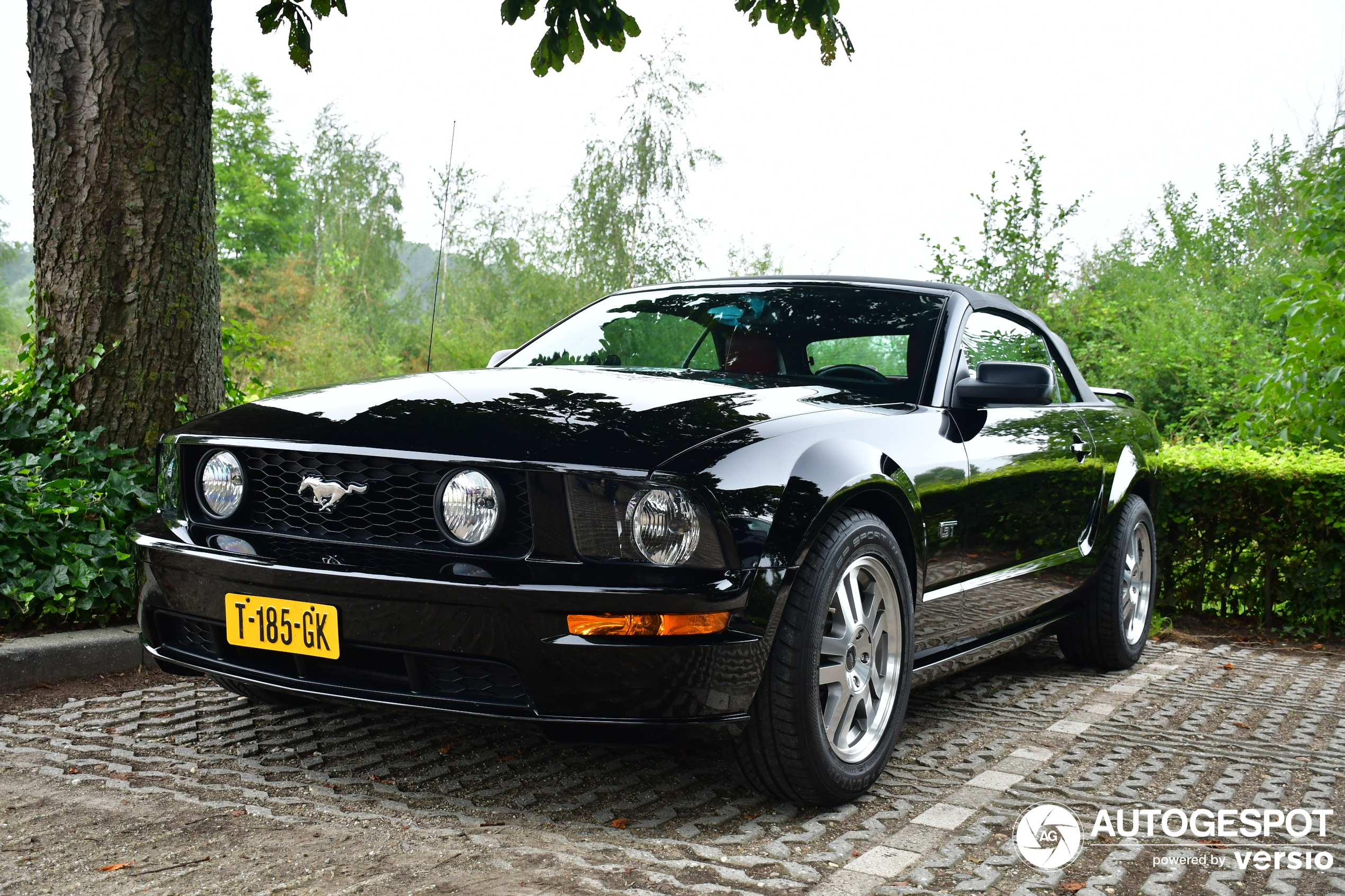 Ford Mustang GT Convertible