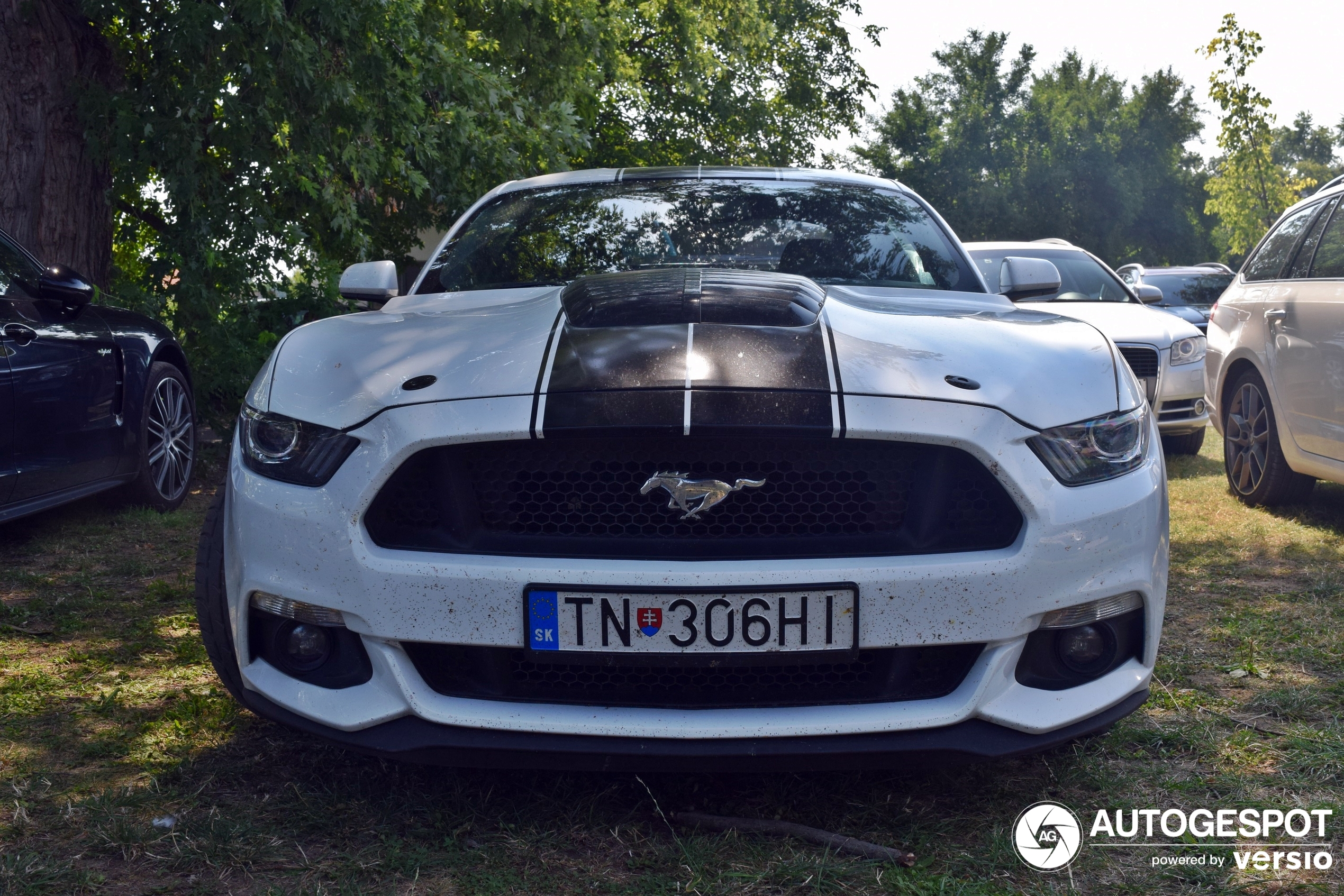 Ford Mustang GT 50th Anniversary Edition