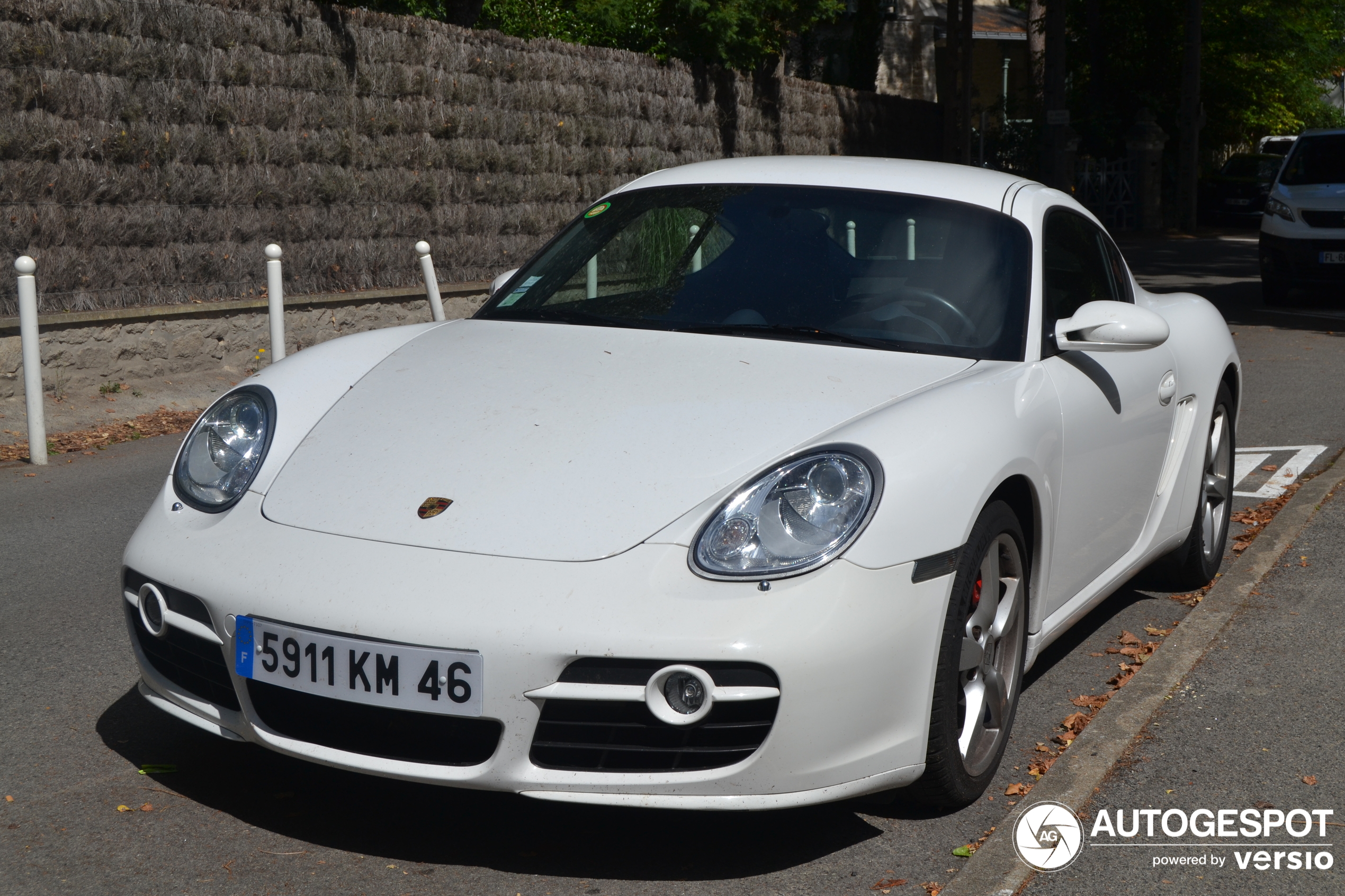 Porsche 987 Cayman S