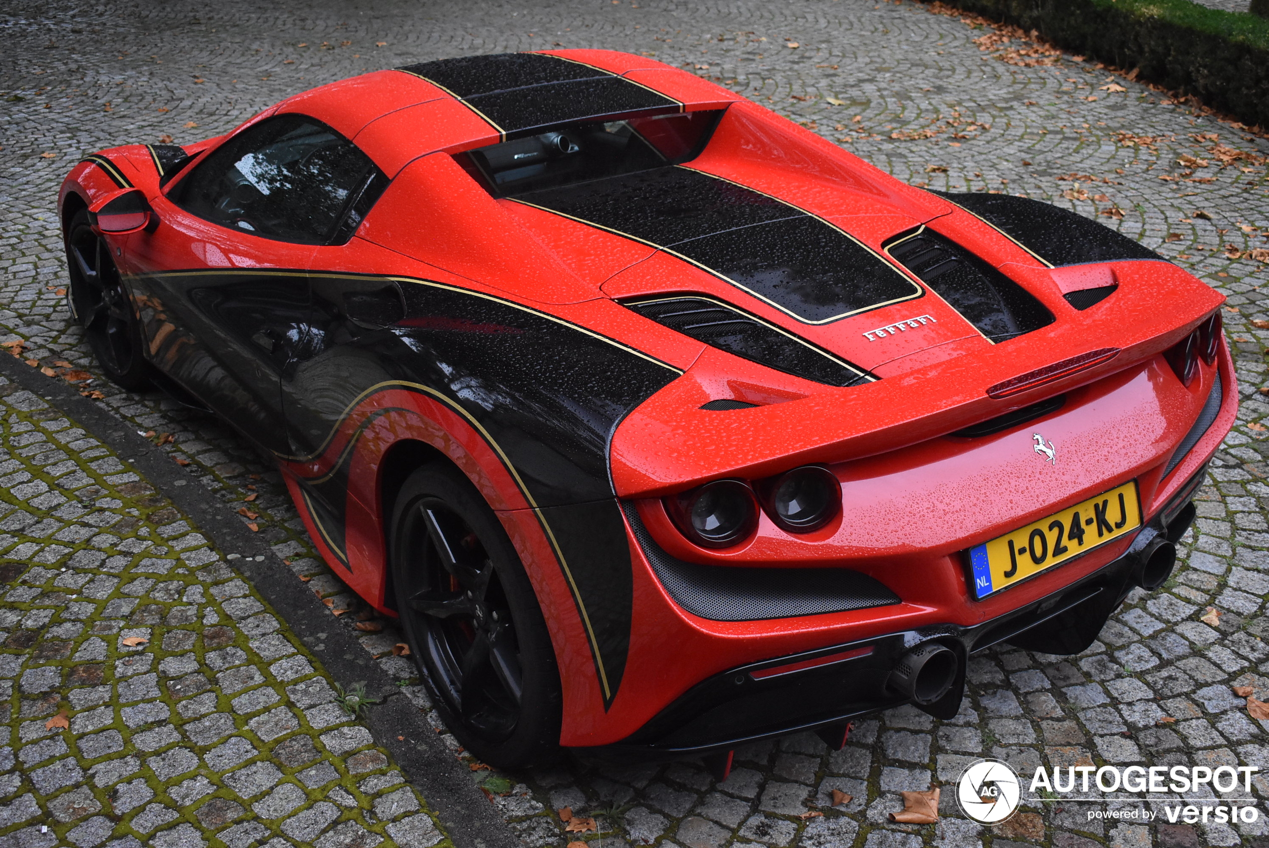 F8 Spider druge vrste