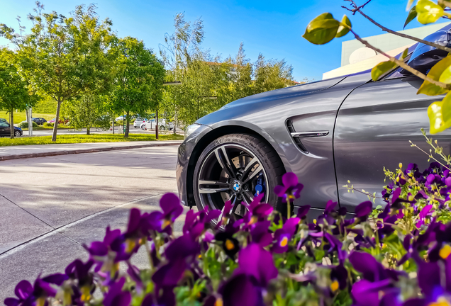 BMW M4 F83 Convertible