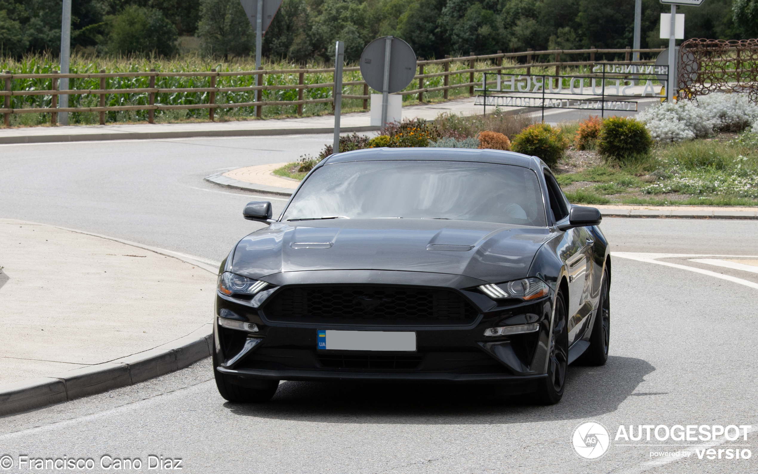 Ford Mustang GT 2018