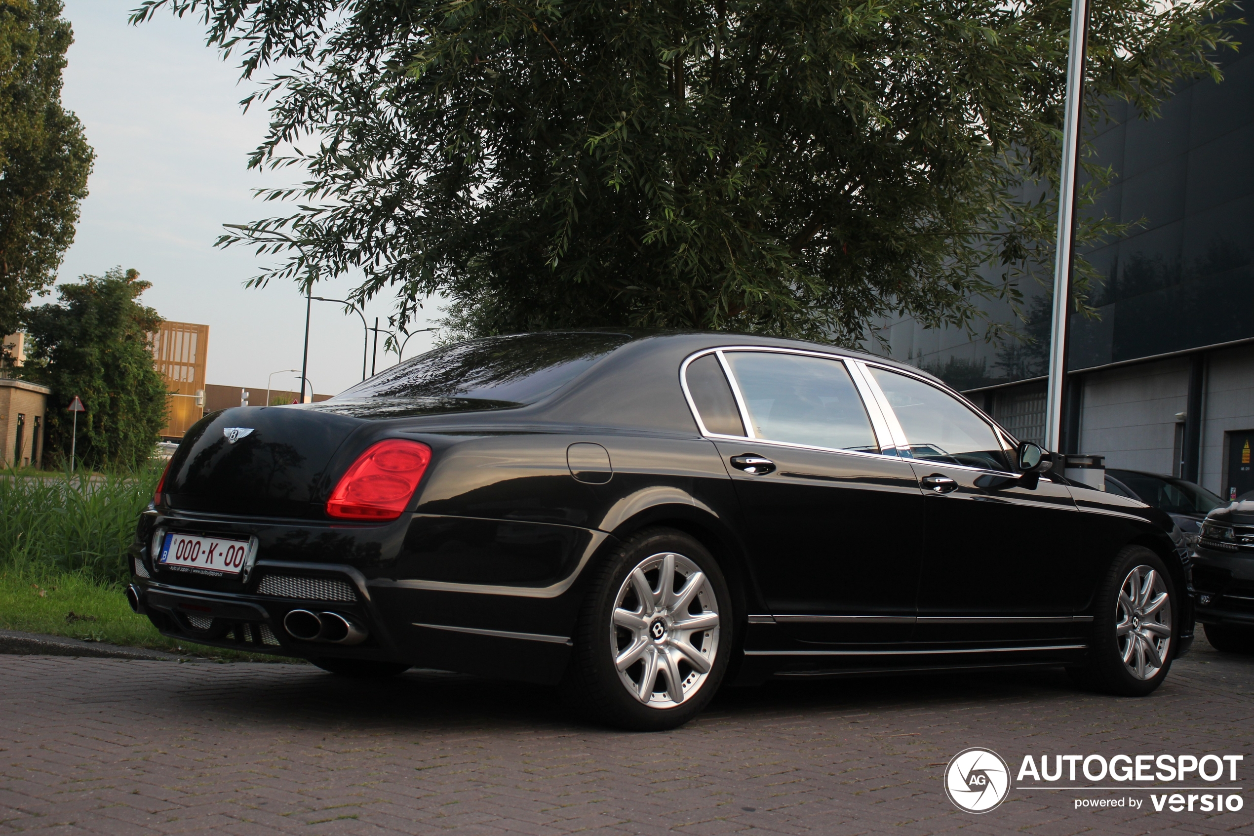 Bentley Wald Continental Flying Spur Black Bison