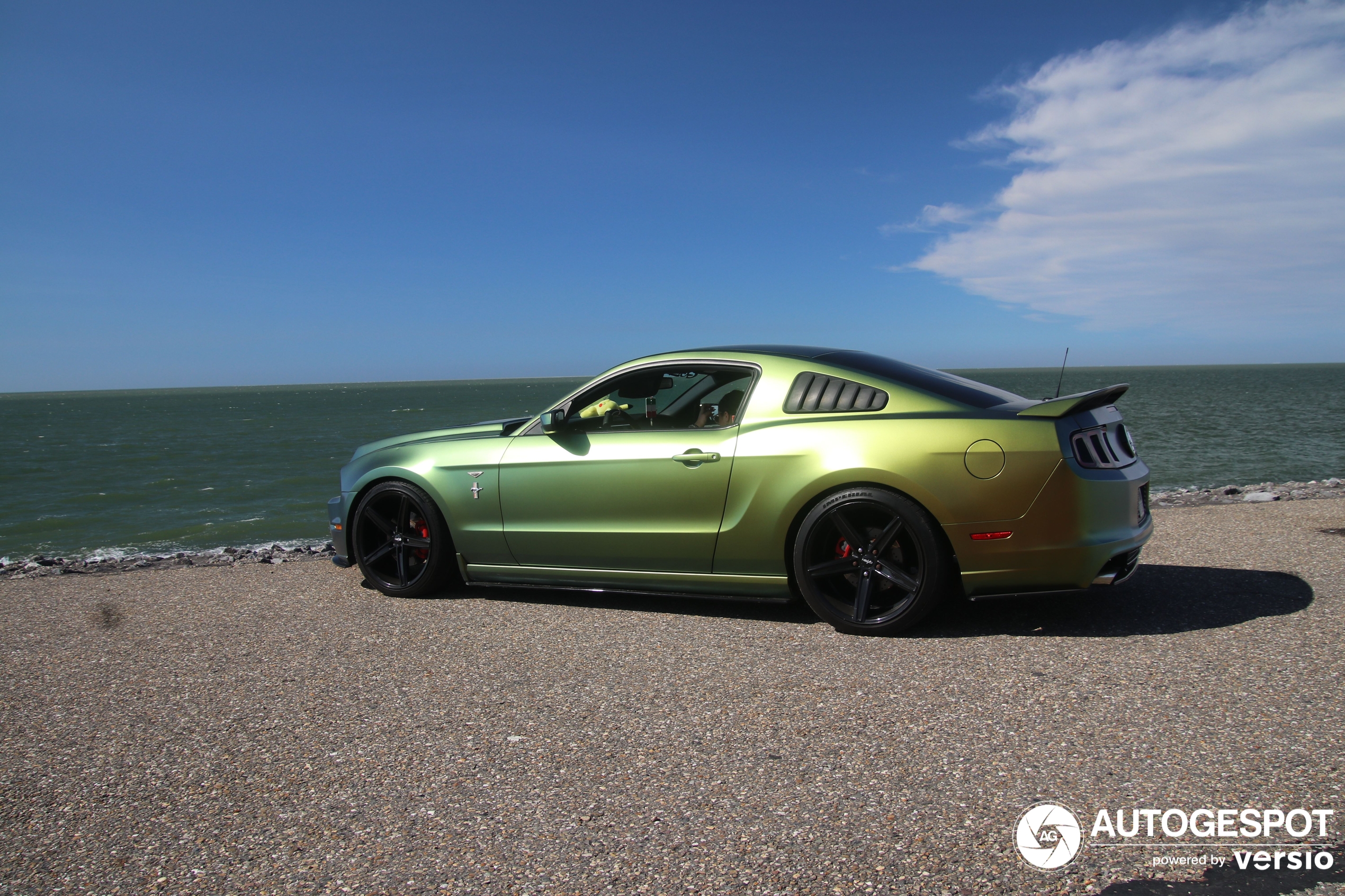 Ford Mustang GT California Special 2013