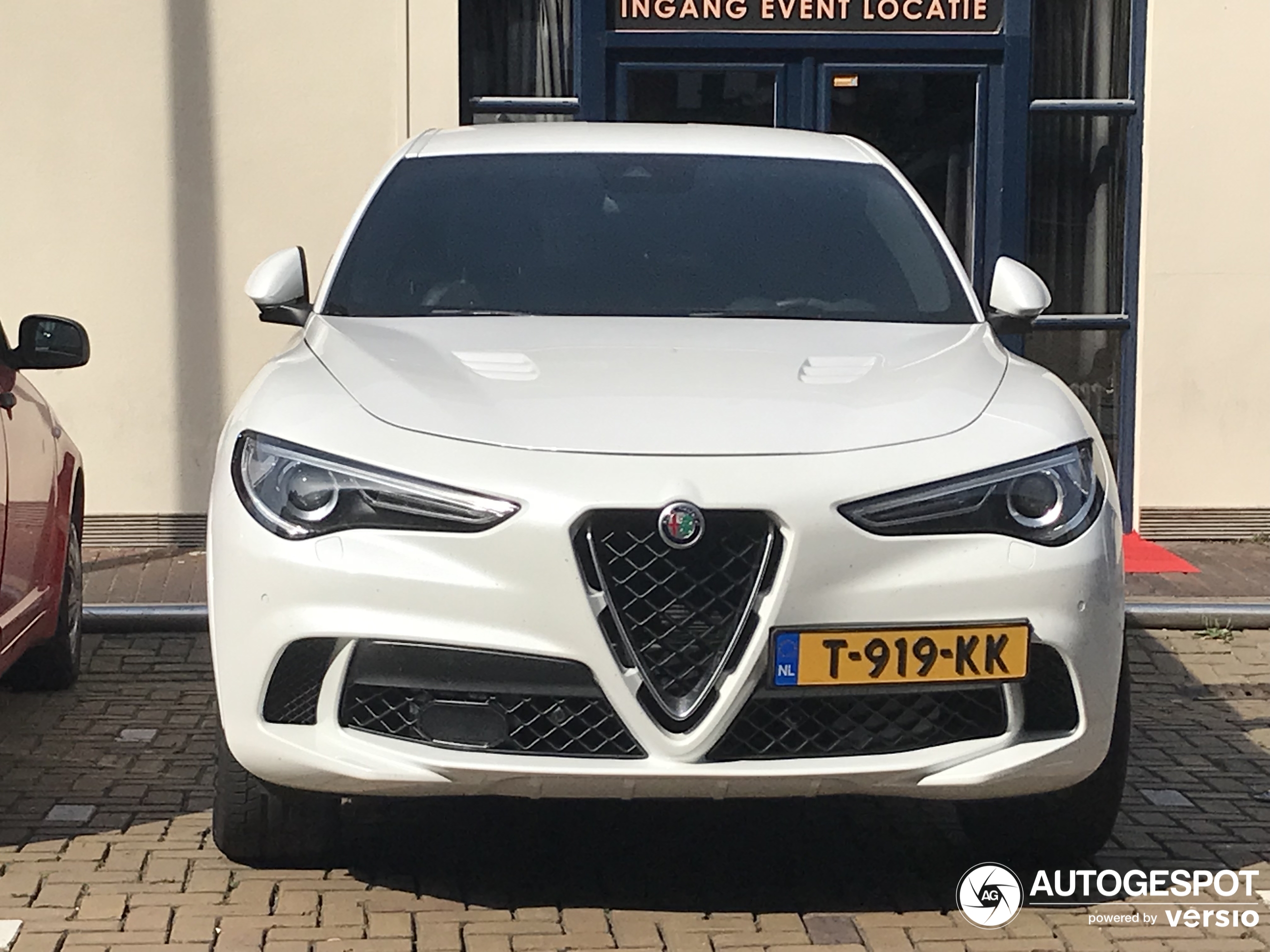 ALFA Alfa9 - Alfa Stelvio Koshi Carbon Fiber — Alfa9 Supply