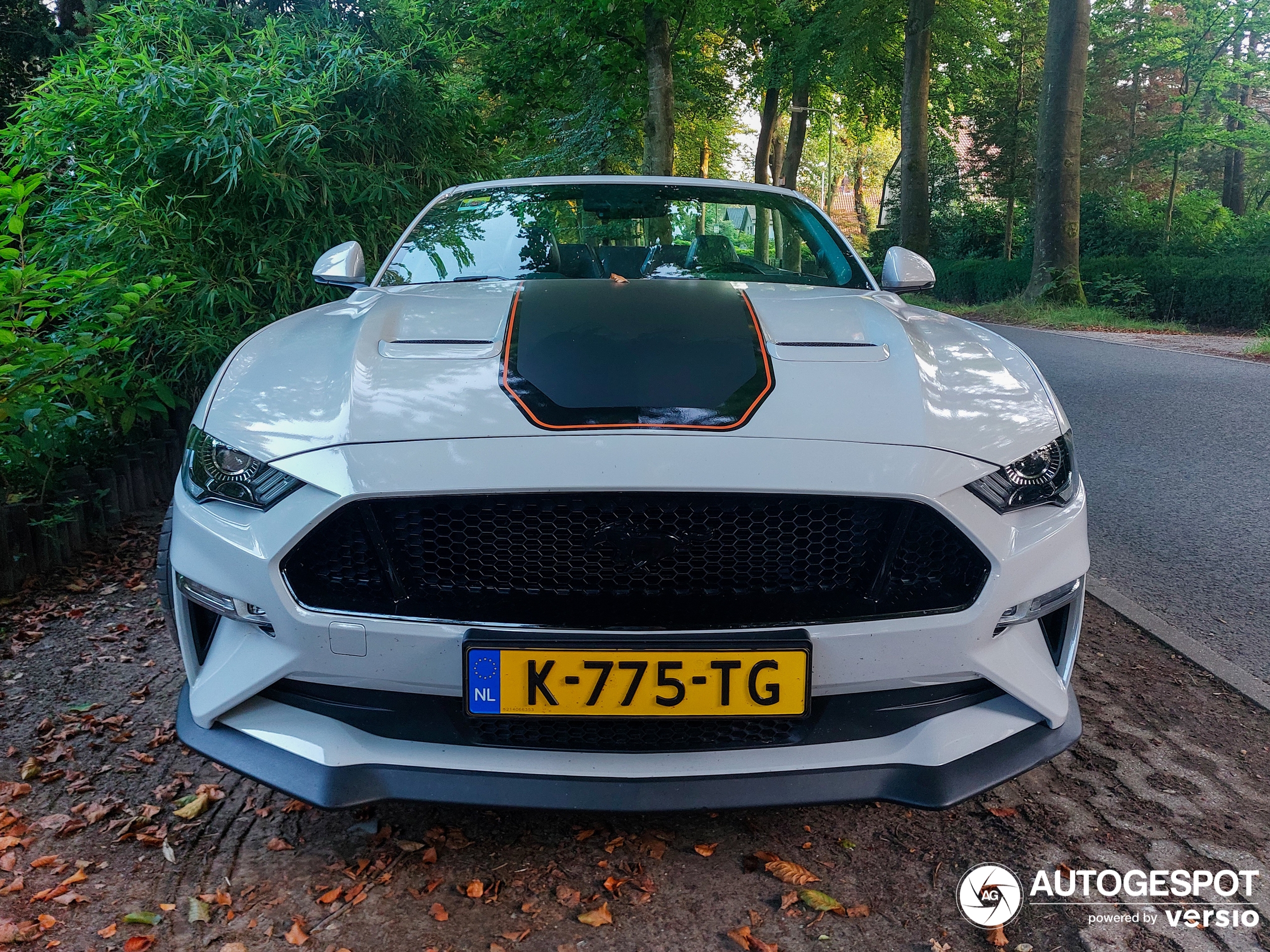 Ford Mustang GT Convertible 2018