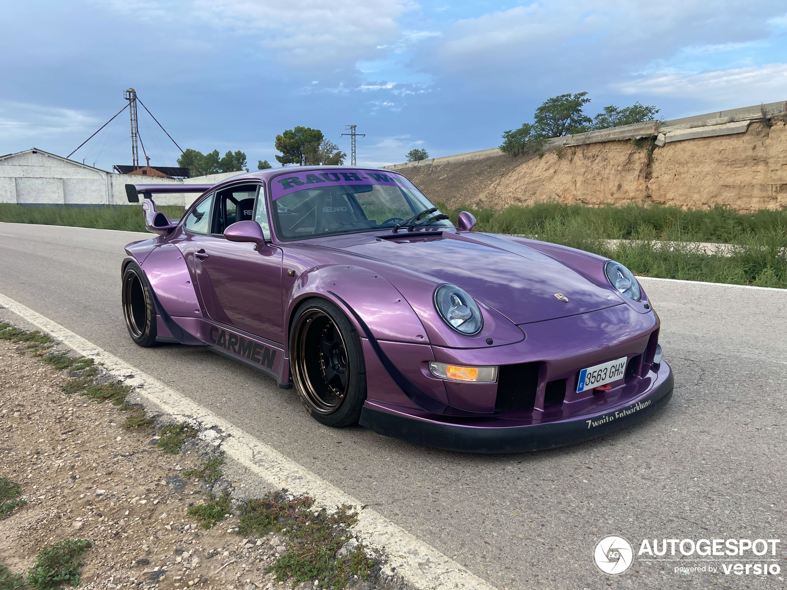 Porsche Rauh-Welt Begriff 993