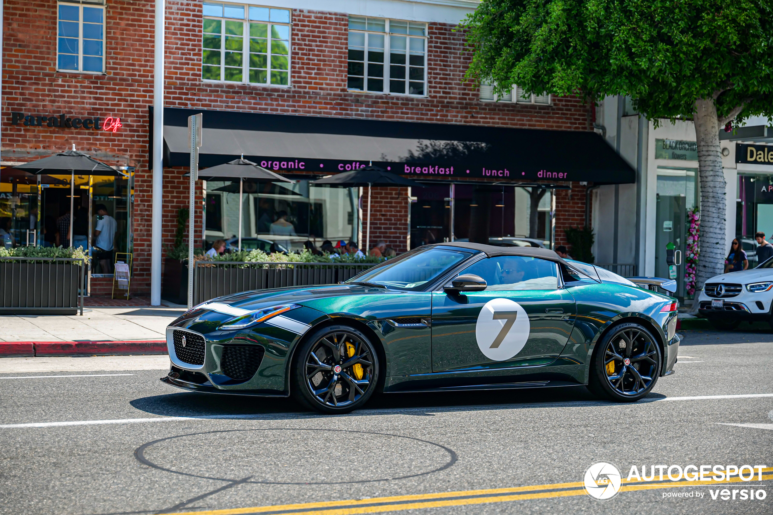 Jaguar F-TYPE Project 7