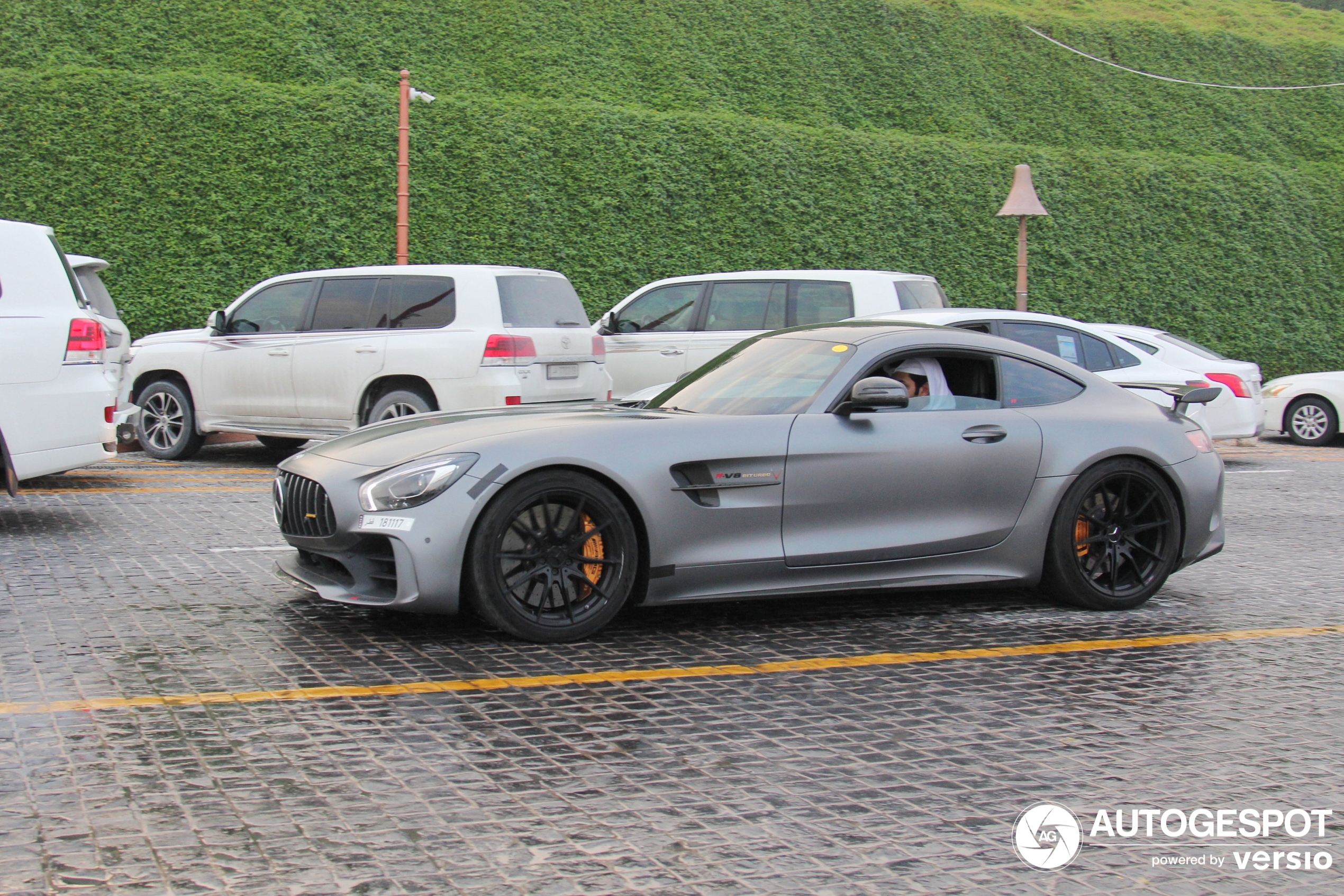 Mercedes-AMG GT R C190 PP Performance