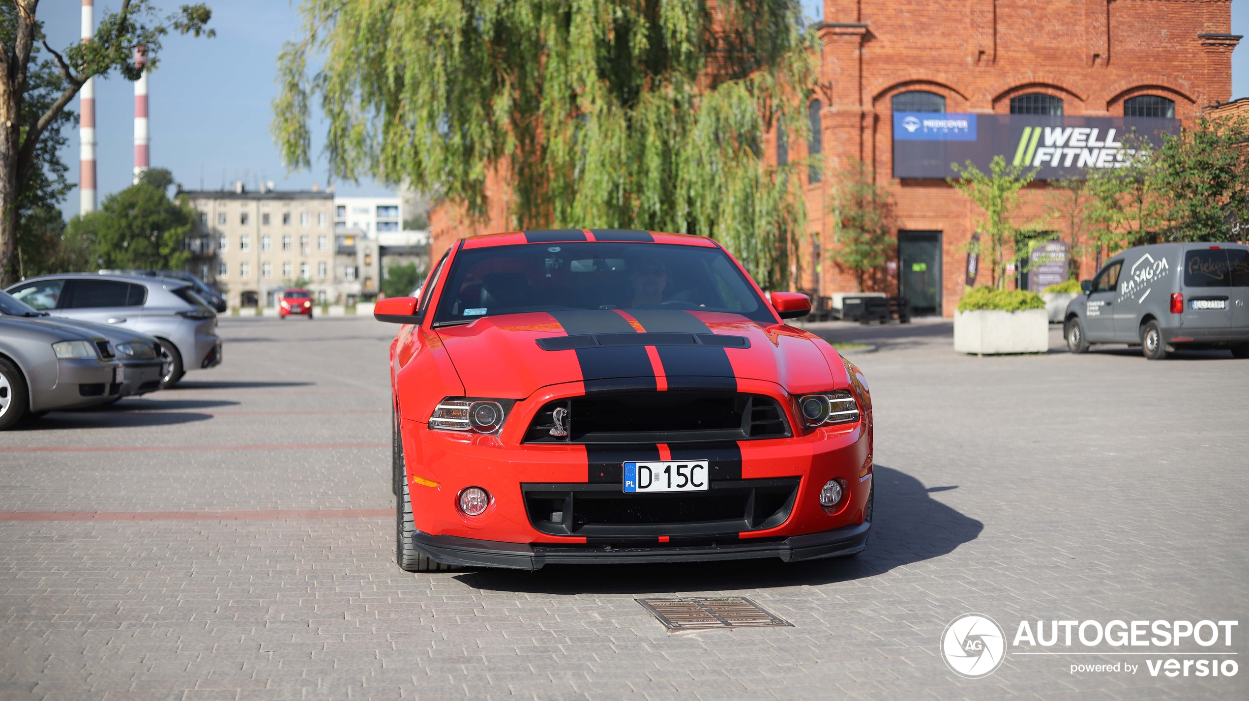 Ford Mustang Shelby GT500 2013