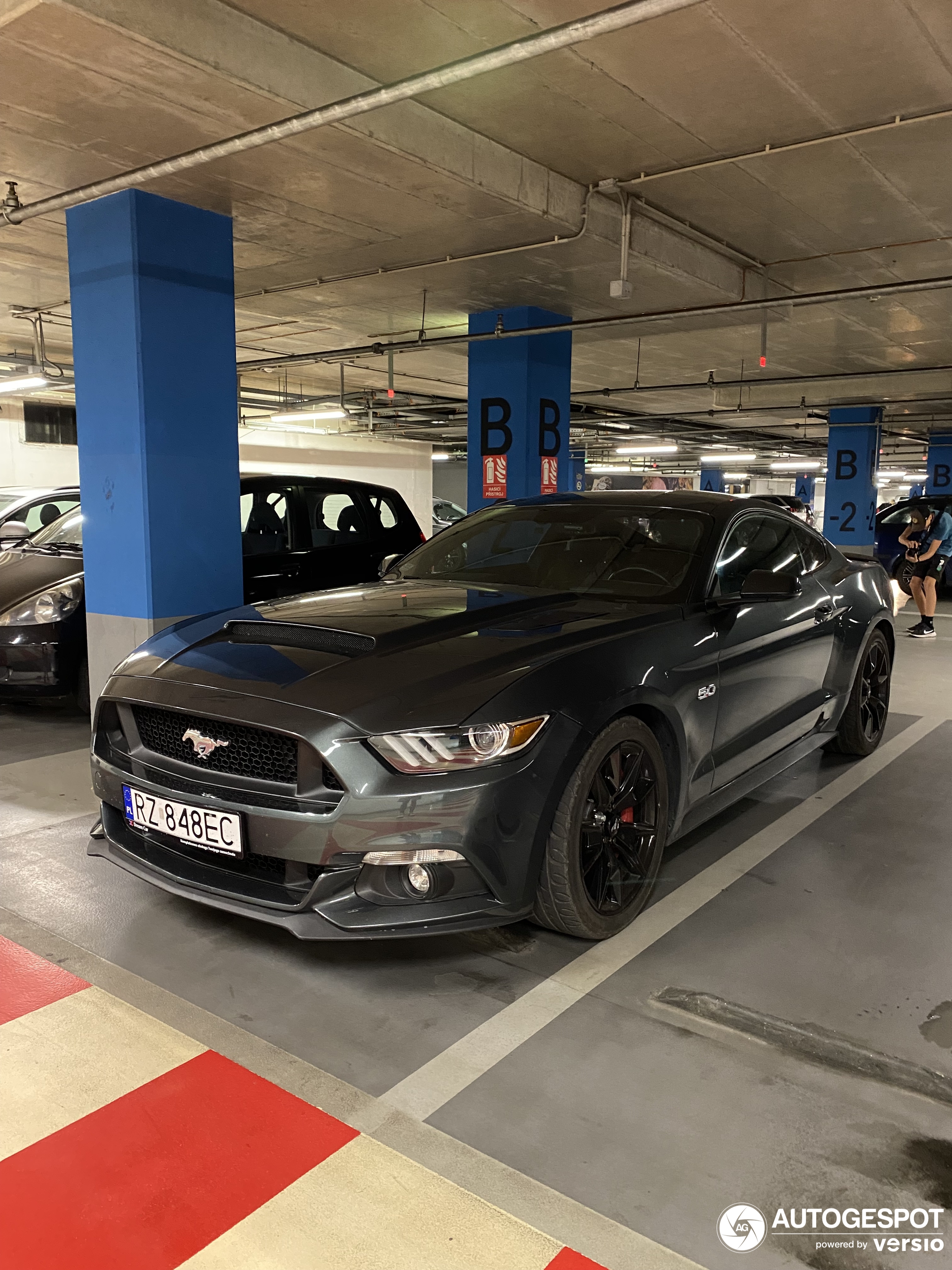 Ford Mustang GT 50th Anniversary Edition