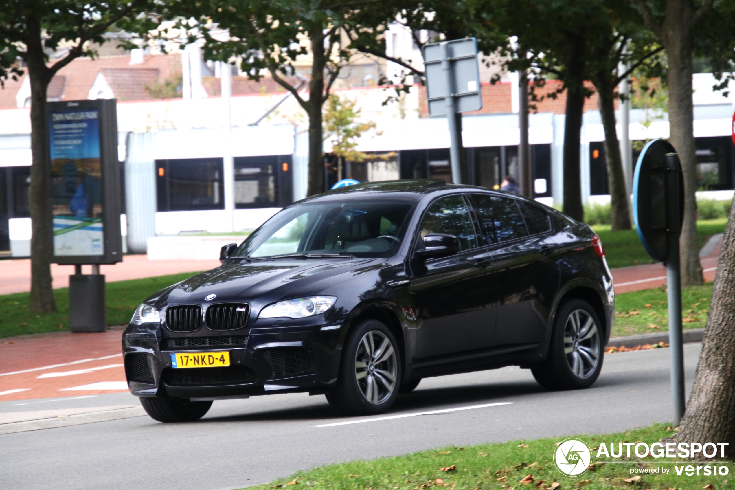 BMW X6 M E71