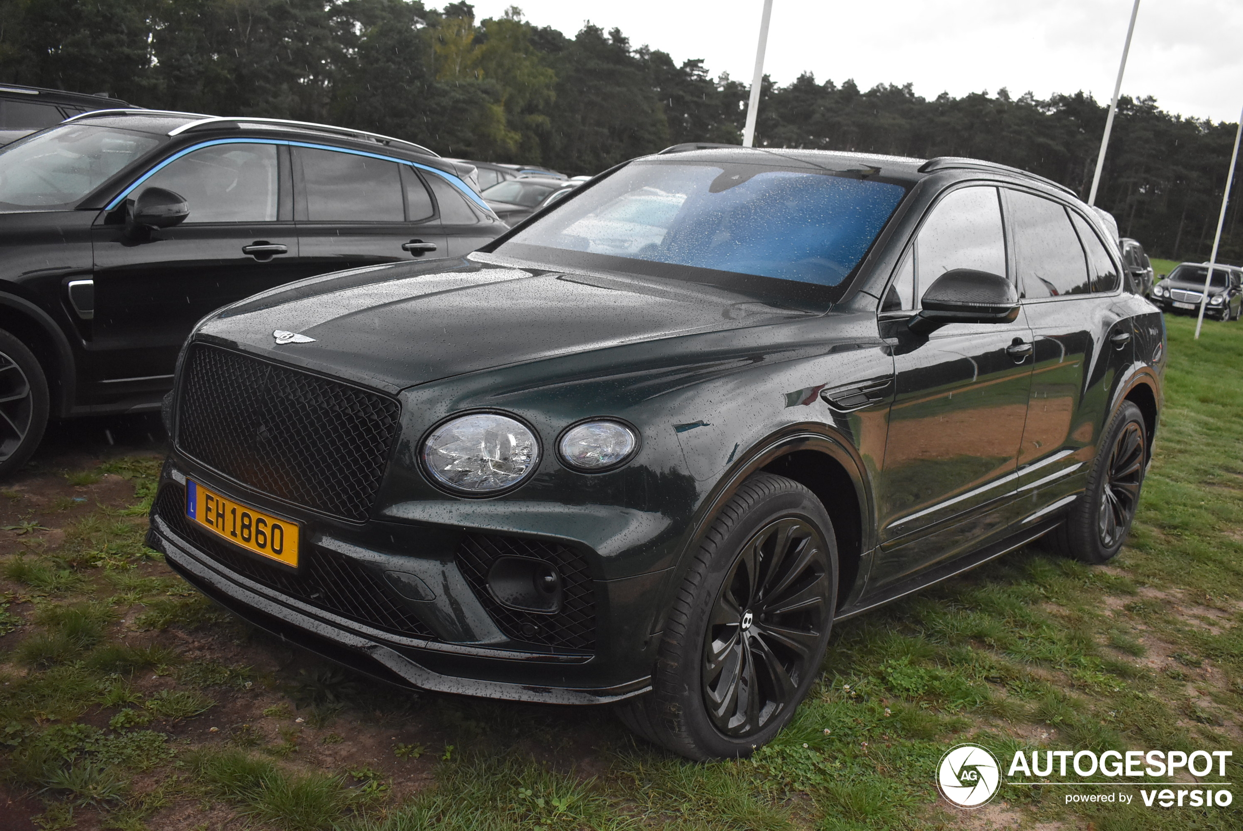 Bentley Bentayga V8 2021 Belgian Equestrian Collection