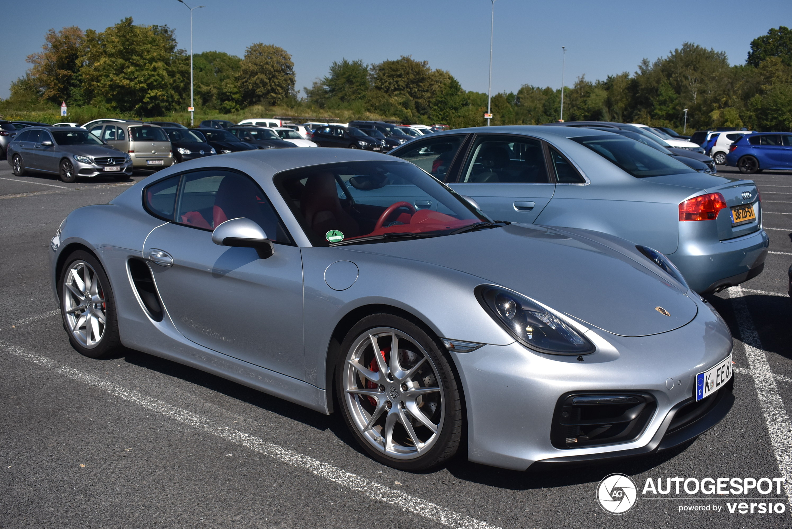 Porsche 981 Cayman GTS