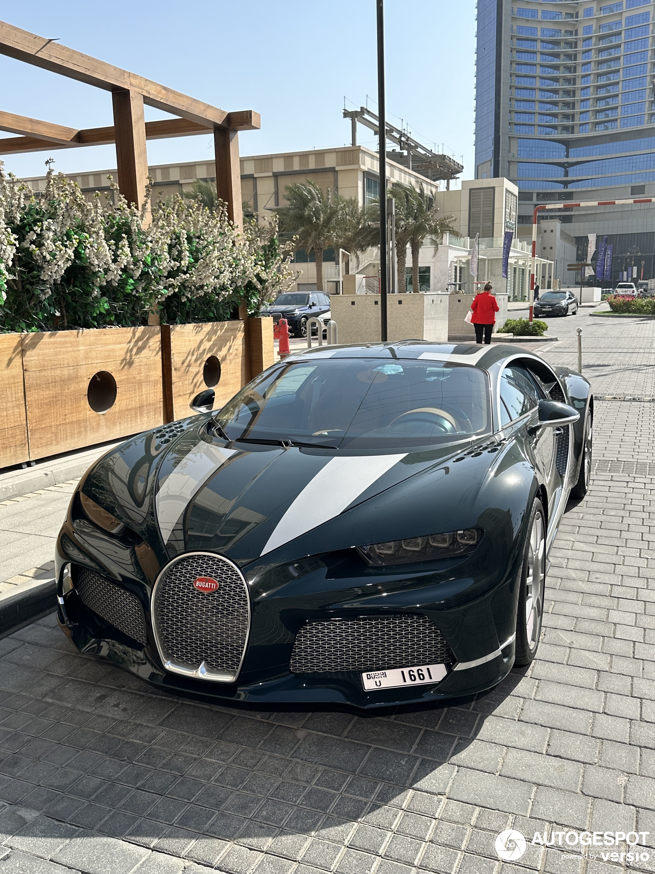 Bugatti Chiron Super Sport Guêpier is geïnspireerd op een vogeltje