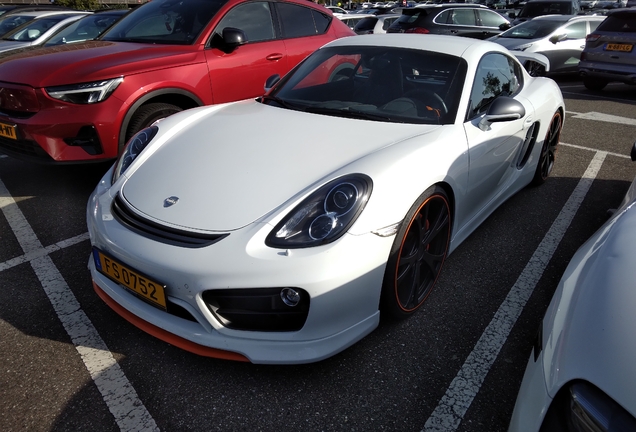 Porsche TechArt Cayman S 2013