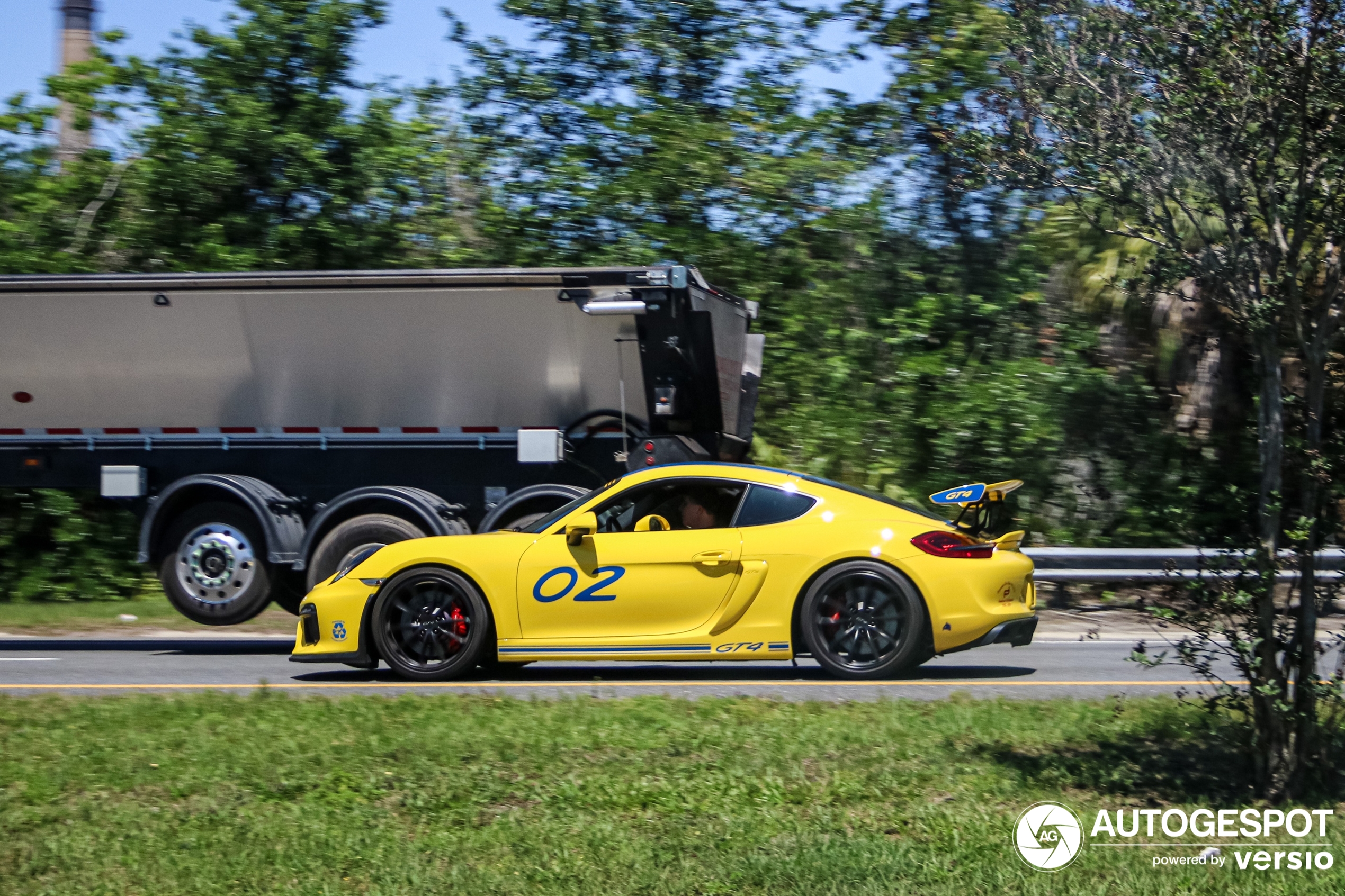 Porsche 981 Cayman GT4